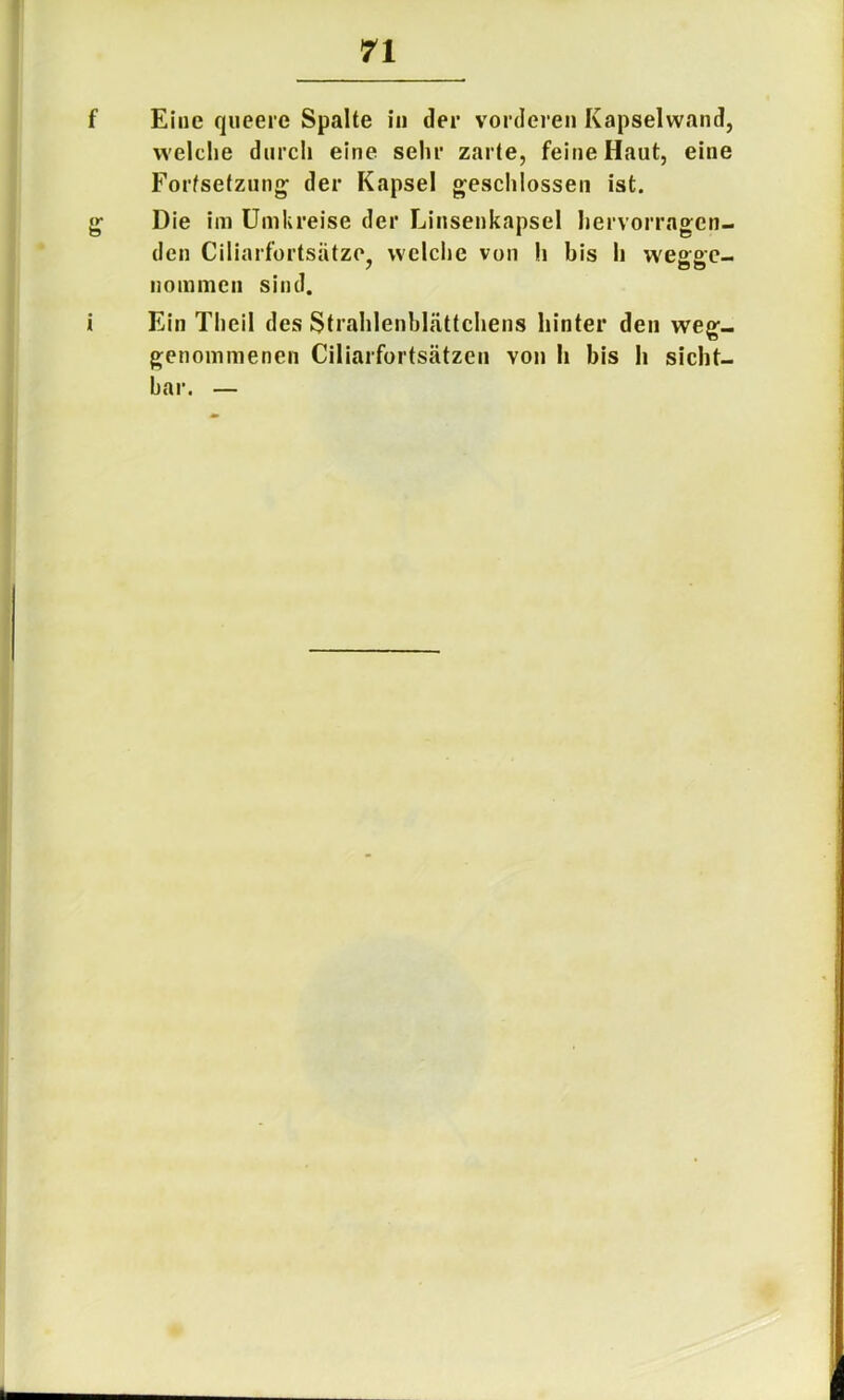 f Eine qiieeie Spalte in der vorderen Kapselwand, welche durch eine sehr zarte, feine Haut, eine Fortsetzung der Kapsel geschlossen ist. g Die im Umkreise der Linsenkapsel hervorragen- den Ciliarfortsätze, welche von h bis h w'eoec- 7 O O nommcn sind. i Ein Theil des Strahlenblättchens hinter den weg- genommenen Ciliarfortsätzen von h bis h sicht- bar. —