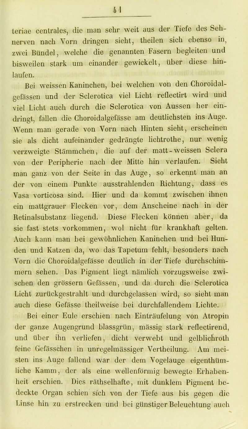 teriae centrales, die man sehr weit aus der Tiefe des Seh- nerven nach Vorn dringen sieht, theilen sich ebenso in? zwei Bündel, welche die genannten Fasern begleiten und bisweilen stark um einander gewickelt, über diese hin- laufen. Bei weissen Kaninchen, bei welchen von den Ghoroidal- oefässen und der Sclerotica viel Licht reflectirt wird und viel Licht auch durch die Sclerotica von Aussen her ein- dringt, fallen die Choroidalgefässe am deutlichsten ins Auge. Wenn man gerade von Vorn nach Hinten sieht, erscheinen sie als dicht aufeinander gedrängte lichtrolhe, nur wenig verzweigte Stämmchen, die auf der matt-weissen Sclera von der Peripherie nach der Mitte hin verlaufen. Sieht man ganz von der Seite in das Auge, so erkennt man an der von einem Punkte ausstrahlenden Richtung, dass es Vasa vorticosa sind. Hier und da kommt zwischen ihnen ein mattgrauer Flecken vor, dem Anscheine nach in der Retinalsubstanz liegend. Diese Flecken können aber, da sie fast stets Vorkommen, wol nicht für krankhaft gelten. Auch kann man bei gewöhnlichen Kaninchen und bei Hun- den und Katzen da, wo das Tapetum fehlt, besonders nach Vorn die Choroidalgefässe deutlich in der Tiefe durchschim- mern sehen. Das Pigment liegt nämlich vorzugsweise zwi- schen den grossem Gefässen, und da durch die Sclerotica Licht zurückgestrahlt und durchgelassen wird, so sieht man auch diese Gefässe theilweise bei durchfallendem Lichte. Bei einer Eule erschien nach Einträufelung von Atropin der ganze Augengrund blassgrün, mässig stark reflectirend, und über ihn verliefen, dicht verwebt und gelblichrolh feine Gefässchen in unregelmässiger Vertheilung. Am mei- sten ins Auge fallend war der dem Vogelauge eigenthüm- liche Kamm, der als eine wellenförmig bewegte Erhaben- heit erschien. Dies räthselhafte, mit dunklem Pigment be- deckte Organ schien sich von der Tiefe aus bis gegen die Linse hin zu erstrecken und bei günstiger Beleuchtung auch