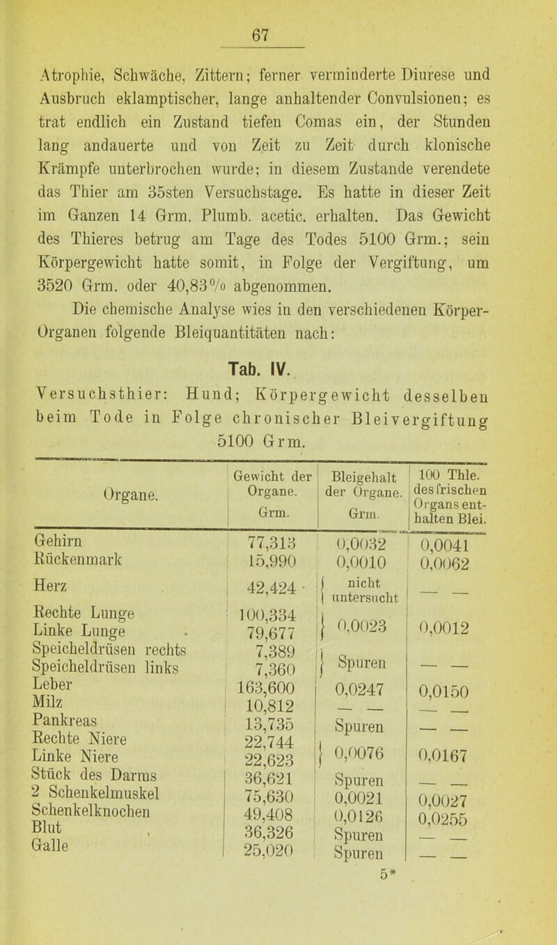 Atrophie, Schwäche, Zittern; ferner verminderte Diurese und Ausbruch eklamptischer, lange anhaltender Convulsionen; es trat endlich ein Zustand tiefen Comas ein, der Stunden lang andauerte und von Zeit zu Zeit durch klonische Krämpfe unterbrochen wurde: in diesem Zustande verendete das Thier am 35sten Versuchstage. Es hatte in dieser Zeit im Ganzen 14 Grm. Plumb. acetic. erhalten. Das Gewicht des Thieres betrug am Tage des Todes 5100 Grm.; sein Körpergewicht hatte somit, in Folge der Vergiftung, um 3520 Grm. oder 40,83% abgenommen. Die chemische Analyse wies in den verschiedenen Körper- Organen folgende Bleiquantitäten nach: Tab. IV. Versuchsthier: Hund; Körpergewicht desselben beim Tode in Folge chronischer Bleivergiftung 5100 Grm. Organe. Gewicht der Organe. Grm. Bleigehalt der Organe. Grm. 100 Thle. des frischen Organs ent- halten Blei. Gehirn 77,313 0,0032 0,0041 Rückenmark 15,990 0,0010 0,0062 Herz 42,424 j nicht - Hechte Lunge Linke Lunge Speicheldrüsen rechts Speicheldrüsen links Leber Milz Pankreas Rechte Niere Linke Niere Stück des Darms 2 Schenkelmuskel Schenkelknochen Blut Galle 100,334 79,677 7,389 7,360 163,600 10,812 13,735 22,744 22,623 j 36,621 75,630 49,408 36,326 25,020 ij 0,0023 | Spuren 0,0247 Spuren ) 0,0076 Spuren 0,0021 0,0126 Spuren Spuren 0,0012 0,0150 0,0167 0,0027 0,0255 5*
