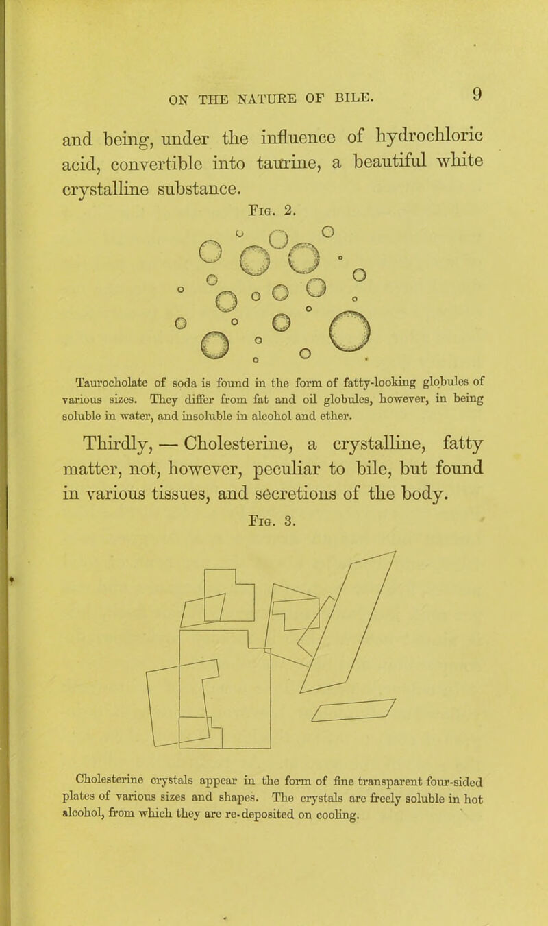 and being, under the influence of hydrochloric acid, convertible into taurine, a beautiful white crystalline substance. Tig. 2. Taurocholate of soda is found in the form of fatty-looking globules of various sizes. They differ from fat and oil globules, however, in being soluble in water, and insoluble in alcohol and ether. Thirdly, — Cholesterine, a crystalline, fatty matter, not, however, peculiar to bile, but found in various tissues, and secretions of the body. Fig. 3. Cholesterine crystals appear in the form of fine transparent four-sided plates of various sizes and shapes. The crystals are freely soluble in hot alcohol, from which they are re- deposited on cooling.