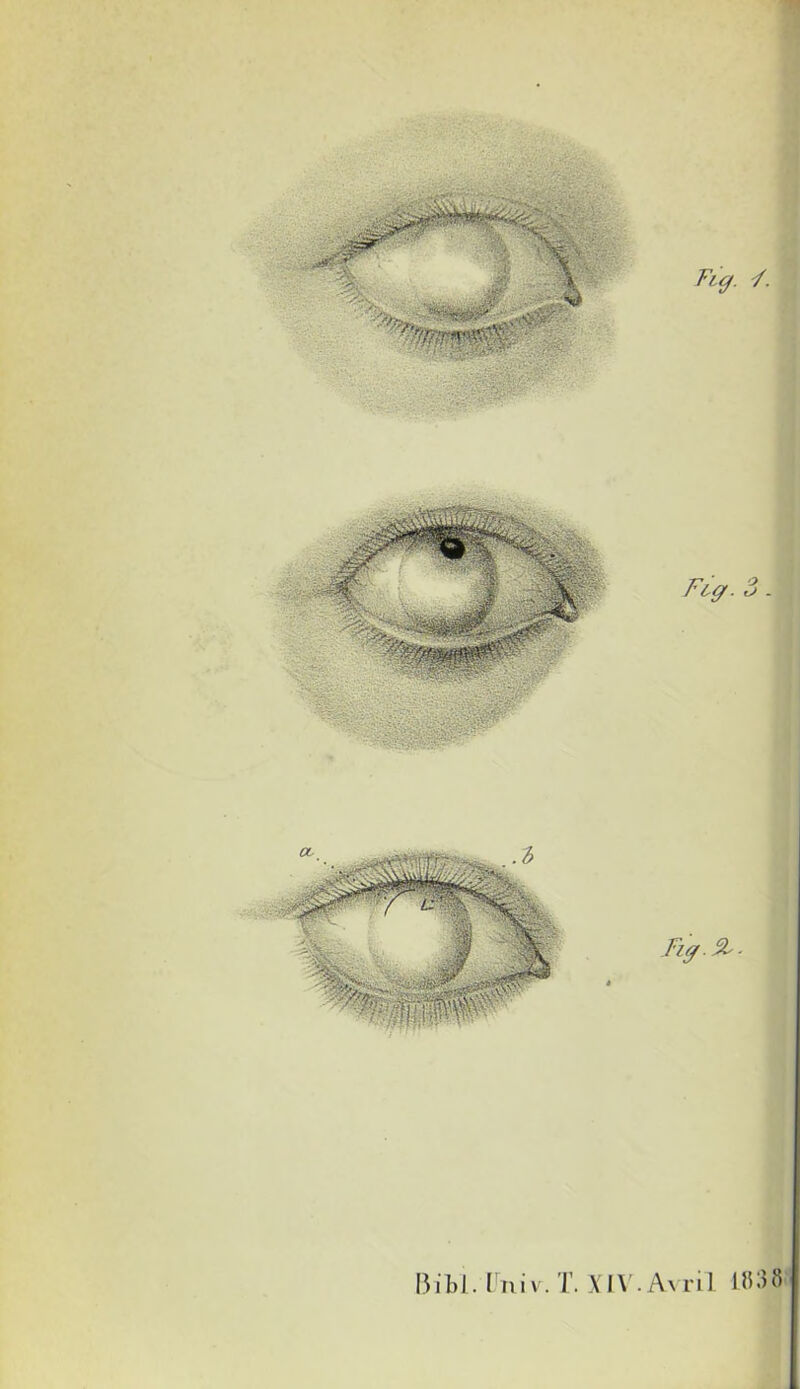 Bibl. Univ. T. XIV. Avril 1838