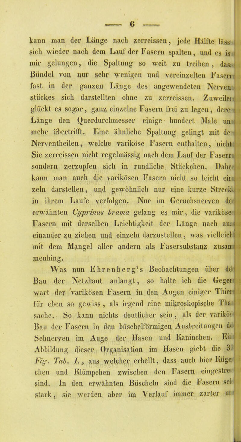 kann man der Länge nach zerreis,sen, jede Hälfte lässt! sich wieder nach dem Lauf der Fasern spalten, und es is mir gelungen, die Spaltung so weit zu treiben, das; • Bündel von nur sehr wenigen und vereinzelten Fasen fast in der ganzen Länge des angewendeten Nerven Stückes sich darstelllcn ohne zu zerreissen. Zuweilei glückt es sogar, ganz einzelne Fasern frei zu legen, deren Länge den Querdurchmesser einige hundert Male un mehr iibertrifft, Eine ähnliche Spaltung gelingt mit dei 1 Nerventheilen, welche variköse Fasern enthalten, nicht Sie zerreissen nicht regelmässig nach dem Lauf der Fasere sondern zerzupfen sich in rundliche Stückchen. Dahe kann man auch die varikösen Fasern nicht so leicht ein j zeln darstellen, und gewöhnlich nur eiue kurze Streck in ihrem Laufe verfolgen. Nur im Geruohsnerven de erwähnten Cyprinns brama gelang e§ mir, die variköse : Fasern mit derselben Leichtigkeit der Länge nach aus* einander zu ziehen und einzeln darzustellen, was vielleicl : mit dem Mangel aller andern als Fasersubstanz zusan I menhing. Was nun Ehrenberg’s Beobachtungen über dej Bau der Netzhaut anlangt, so halte ich die Gegei wart der varikösen Fasern in den Augen einiger Thiei I für eben so gewiss , als irgend eine mikroskopische Tha sache. So kann nichts deutlicher sein, als der variköf - Bau der Fasern in den büschelförmigen Ausbreitungen di Sehnerven im Auge der Hasen und Kaninchen. Eil Abbildung dieser Organisation im Hasen giebt die 3 | Fig. Tab, I., aus welcher erhellt, dass auch hier Küge chen und Klümpchen zwischen den Fasern eingestre sind. In den erwähnten Büscheln sind die Fasern sei stark, sic werden aber im Verlauf immer zarter ui