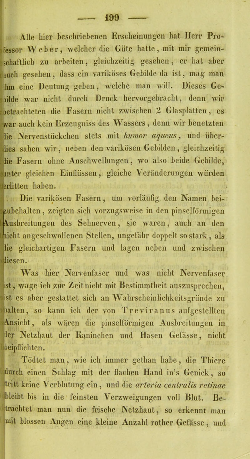 Alle hier beschriebenen Erscheinungen hat Herr Pro- zessor Weber, welcher die Güte hatte, mit mir gemein- schaftlich zu arbeiten, gleichzeitig gesehen, er hat aber [juch gesehen, dass ein variköses Gebilde da ist, mag man ihm eine Deutung geben, welche man will. Dieses Ge- 3bilde war nicht durch Druck hervorgebracht, denn wir ;• betrachteten die Fasern nicht zwischen 2 Glasplatten, es war auch kein Erzeugnis des Wassers , denn wir benetzten lie Nervenstückehen stets mit humor aqueus, und über- dies sahen wir, neben den varikösen Gebilden, gleichzeitig | lie Fasern ohne Anschwellungen, wo also beide Gebilde, ■mter gleichen Einflüssen, gleiche Veränderungen würden ■erlitten haben. Die varikösen Fasern, um vorläufig den Namen bei- pbehalten, zeigten sich vorzugsweise in den pinselförmigen ^Ausbreitungen des Sehnerven, sie waren, auch an den liicht angeschwollenen Stellen, ungefähr doppelt so stark, als llie gleichartigen Fasern und lagen neben und zwischen > liesen. Was hier Nervenfaser und was nicht Nervenfaser st, wage ich zur Zeit nicht mit Bestimmtheit auszusprechen, st es aber gestattet sich an Wahrscheinlichkeitsgründe zu »hallen, so kann ich der von Treviranus aufgestellten ^Ansicht, als wären die pinselförmigen Ausbreitungen in ler Netzhaut der Kaninchen und Hasen Gefässc, nicht beipflichten. Tödtet man, wie ich immer gethan habe, die Thiere durch einen Schlag mit der flachen Hand in’s Genick, so tritt keine Verblutung ein, und die arteria centralis retinae bleibt bis in die feinsten Verzweigungen voll Blut. Be- trachtet man nun die frische Netzhaut, so erkennt man mit blossen Augen eine kleine Anzahl rotlier Gefässe, und