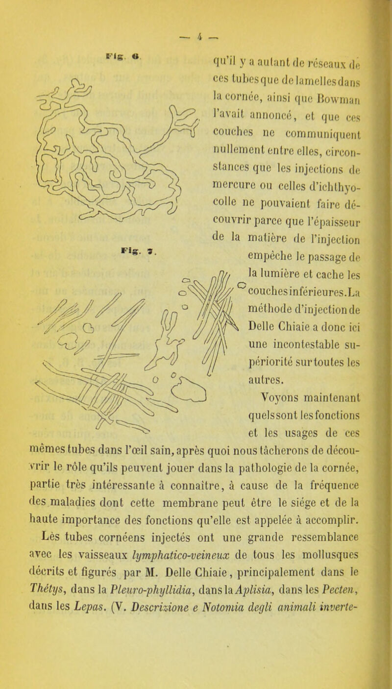 qu’il y a autant de réseaux de ces tubesque delamellesdans la cornée, ainsi que Bowman lavait annoncé, et que ces couches ne communiquent nullement entre elles, circon- stances que les injections de mercure ou celles d’ichthyo- colle ne pouvaient faire dé- couvrir parce que l’épaisseur de la matière de l’injection empêche le passage de la lumière et cache les couches inférieures. La méthode d’injection de Delle Chiaie a donc ici une incontestable su- périorité sur toutes les autres. Voyons maintenant quelssont lesfonclions et les usages de ces mêmes tubes dans l’œil sain, après quoi nous tâcherons de décou- vrir le rôle qu’ils peuvent jouer dans la pathologie de la cornée, partie très intéressante à connaître, à cause de la fréquence des maladies dont cette membrane peut être le siège et de la haute importance des fonctions qu’elle est appelée à accomplir. Lès tubes cornéens injectés ont une grande ressemblance avec les vaisseaux hymphcitico-veineux de tous les mollusques décrits et figurés par M. Delle Chiaie, principalement dans le Thétys, dans la Pleuro-phyllidia, dans hAplisia, dans les Pecten,