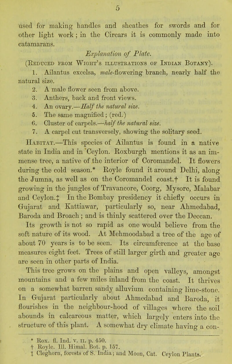 used for making handles and sheathes for swords and for other light work ; in the Circars it is commonly made into catamarans. Explanation of Plate. (Reduced from Wight’s illustrations of Indian Botany). 1. Ailantus excelsa, ?wa7<?-flowering branch, nearly half the natural size. 2. A male flower seen from above. 3. Anthers, back and front views. 4. An ovary.—Half the natural size. 5. The same magnified; (red.) 6. Cluster of carpels.—half the natural size. 7. A carpel cut transversely, showing the solitary seed. Habitat.—This species of Ailantus is found in a native state in India and in Ceylon. Roxburgh mentions it as an im- mense tree, a native of the interior of Coromandel. It flowers during the cold season.* Royle found it around Delhi, along the Jumna, as well as on the Coromandel coast.f It is found growing in the jungles of Travancore, Coorg, Mysore, Malabar and Ceylon.J In the Bombay presidency it chiefly occurs in Gujarat and Kattiawar, particularly so, near Ahmedabad, Baroda and Broach ; and is thinly scattered over the Deccan. Its growth is not so rapid as one would believe from the soft nature of its wood. At Mehmoodabad a tree of the age of about 70 years is to be seen. Its circumference at the base measures eight feet. Trees of still larger girth and greater age are seen in other parts of India. This tree grows on the plains and open valleys, amongst mountains and a few miles inland from the coast. It thrives on a somewhat barren sandy alluvium containing lime-stone. In Gujarat particularly about Ahmedabad and Baroda, it flourishes in the neighbour-hood of villages where the soil abounds in calcareous matter, which largely enters into the structure of this plant. A somcAvhat dry climate having a con- * Rox. fl. Ind. v. H. p. 450. t Royle. 111. Himal. Bot. p. 157. t Cleghorn, forests of S. India; ami Moon, Cat. Ceylon Plants.