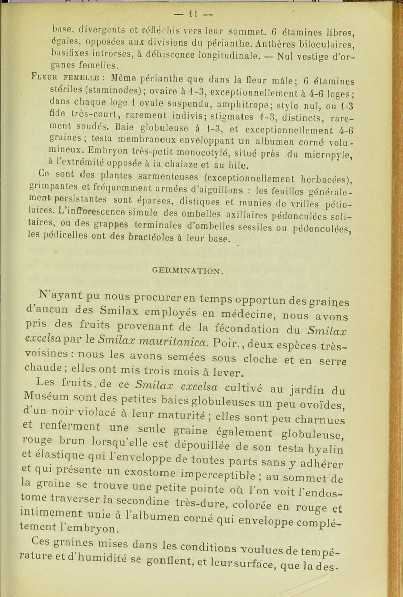 égales, opposées au.î divisions du périanthe. Anthères biloculaires, b.isifixes introrses, à déhiscence longitudinale. — Nul vestige d’or- ganes femelles. Fleur FEMELLE : Même périanthe que dans la fleur mâle; 6 étamines stériles (staminodes); ovaire à -1-3, exceptionnellement à 4-6 loges; dans chaque loge 1 ovule suspendu, amphitrope; style nul, ou 1-3 fîde très-court, rarement indivis; stigmates 1-3, distincts, rare- ment soudés. Baie globuleuse à 1-3, et exceptionnellement 4-6 graines; testa membraneux enveloppant un albumen corné volu- mineux. Embryon très-petit monocotylé, situé près du micropyle, à l’extrémité opposée à la clialaze et au hile. Ce sont des plantes sarmenteuses (exceptionnellement herbacées) grimpantes et fréquemment armées d’aiguillons : les feuilles générale- ment persistantes sont éparses, distiques et munies de vrilles pétio- lames. L inflorescence simule des ombelles axillaires pédonculées soli- taires ou des grappes terminales d’ombelles sessiles ou pédonculées les pédicelles ont des bracléoles à leur base. germixation. Nayant pu nous procureren temps opportun des graines d aucun des Smilax employés en médecine, nous avons pris des fruits provenant de la fécondation du Smilax exceha par le Smilax mauritanica. Poir., deux espèces très- voismes r nous les avons semées sous cloche et en serre chaude; elles ont mis trois mois à lever. Les truifs.de ce Smilax exceha cultivé au jardin du Muséum sont des petites baies globuleuses un peu ovoïdes d un noir violacé à leur maturité ; elles sont peu charnues t lenferment une seule graine également globuleuse Uge biun lorsqu elle est dépouillée de son testa hyalin élastique qui lenveloppe de foutes parts sans y adirer t qui présenté un exostome imperceptible ; au sLmet dl graine se trouve une petite pointe où l’on voit l’endos- tome traverser la secondine très-dure, colorée en rouge et tem~mb“ryom ’ enveloppe complé- Ces graines mises dans les conditions voulues de temné rature et d humidité se gonüent, et leursurface, que la des-