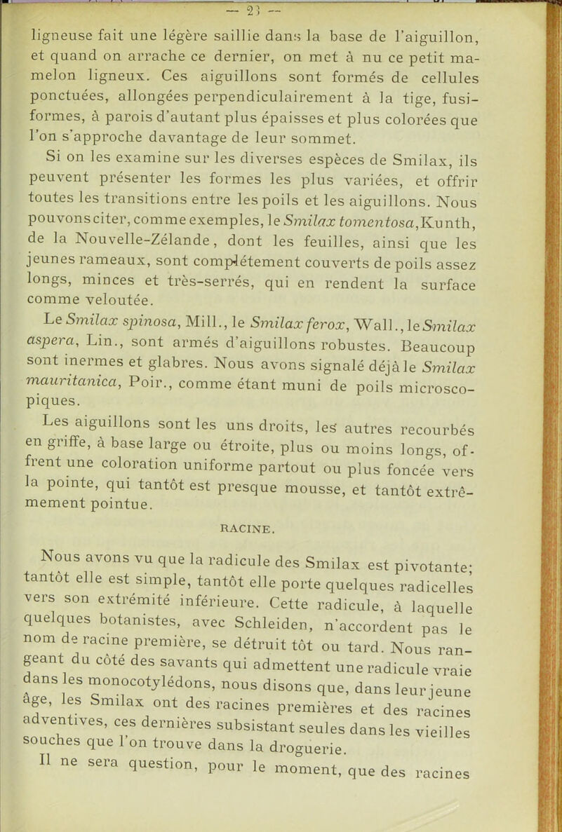 ligneuse fait une légère saillie dans la base de l’aiguillon, et quand on arrache ce dernier, on met à nu ce petit ma- melon ligneux. Ces aiguillons sont formés de cellules ponctuées, allongées perpendiculairement à la tige, fusi- formes, à parois d’autant plus épaisses et plus colorées que l’on s’approche davantage de leur sommet. Si on les examine sur les diverses espèces de Smilax, ils peuvent présenter les formes les plus variées, et offrir toutes les transitions entre les poils et les aiguillons. Nous pouvonsciter, comme exemples, le S??2z7^j:to??2e7itosa,Kunth, de la Nouvelle-Zélande, dont les feuilles, ainsi que les jeunes rameaux, sont complètement couverts de poils assez longs, minces et très-serrés, qui en rendent la surface comme veloutée. l.e Smilax spinosa, Mill., le Smilax ferox, W le Smilax aspera, Lin., sont armés d’aiguillons robustes. Beaucoup sont inermes et glabres. Nous avons signalé déjà le Smilax mauritanica, Poir., comme étant muni de poils microsco- piques. Les aiguillons sont les uns droits, les autres recourbés en griffe, à base large ou étroite, plus ou moins longs, of- frent une coloration uniforme partout ou plus foncée vers la pointe, qui tantôt est presque mousse, et tantôt extrê- mement pointue. RACINE. Nous avons vu que la radicule des Smilax est pivotante- tantôt elle est simple, tantôt elle porte quelques radicelles vers son extrémité inférieure. Cette radicule, à laquelle quelques botanistes, avec Schleiden, n’accordent pas le nom de racine première, se détruit tôt ou tard. Nous ran- geant du côté des savants qui admettent une radicule vraie dans es monocotylédons, nous disons que, dans leur jeune âge, les Smilax ont des racines premières et des racines adventives, ces dernières subsistant seules dans les vieilles souches que 1 on trouve dans la droguerie. Il ne sera question, pour le moment, que des racines