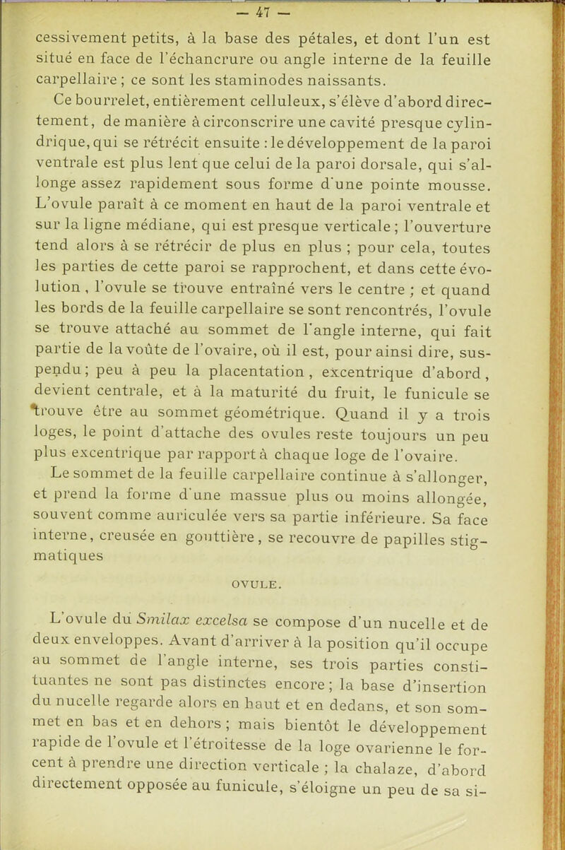 cessivement petits, à la base des pétales, et dont l’un est situé en face de l’échancrure ou angle interne de la feuille carpellaire ; ce sont les staminodes naissants. Ce bourrelet, entièrement celluleux, s’élève d’abord direc- tement, de manière à circonscrire une cavité presque cylin- drique, qui se rétrécit ensuite : le développement de la paroi ventrale est plus lent que celui de la paroi dorsale, qui s’al- longe assez rapidement sous forme d'une pointe mousse. L’ovule paraît à ce moment en haut de la paroi ventrale et sur la ligne médiane, qui est presque verticale ; l’ouverture tend alors à se rétrécir de plus en plus ; pour cela, toutes les parties de cette paroi se rapprochent, et dans cette évo- lution , l’ovule se trouve entraîné vers le centre ; et quand les bords de la feuille carpellaire se sont rencontrés, l’ovule se trouve attaché au sommet de l'angle interne, qui fait partie de la voûte de l’ovaire, où il est, pour ainsi dire, sus- pendu ; peu à peu la placentation , excentrique d’abord, devient centrale, et à la maturité du fruit, le funicule se Itrouve être au sommet géométrique. Quand il y a trois loges, le point d’attache des ovules reste toujours un peu plus excentrique par rapport à chaque loge de l’ovaire. Le sommet de la feuille carpellaire continue à s’allonger, et prend la forme d’une massue plus ou moins allongée, souvent comme auriculée vers sa partie inférieure. Sa face interne, creusée en gouttière, se recouvre de papilles stig- matiques OVULE. L’ovule du Smilax excelsa se compose d’un nucelle et de deux enveloppes. Avant d’arriver à la position qu’il occupe au sommet de 1 angle interne, ses trois parties consti- tuantes ne sont pas distinctes encore; la base d’insertion du nucelle regarde alors en haut et en dedans, et son som- met en bas et en dehors ; mais bientôt le développement lapide de 1 ovule et 1 étroitesse de la loge ovarienne le for- cent à prendre une direction verticale ; la chalaze, d’abord directement opposée au funicule, s’éloigne un peu de sa si-