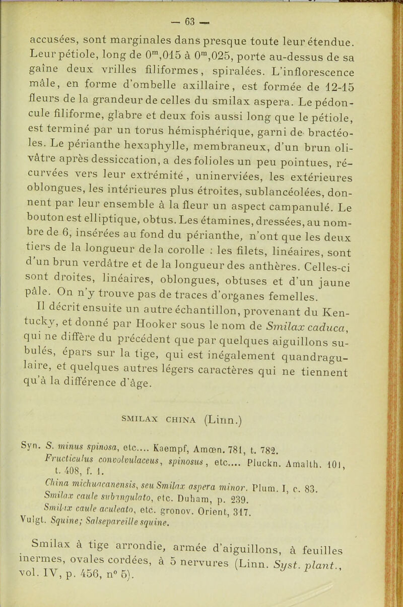 accusées, sont marginales dans presque toute leur étendue. Leur pétiole, long de 0™,015 à 0™,025, porte au-dessus de sa gaine deux vrilles filiformes, spiralées. L’inflorescence mâle, en forme d’ombelle axillaire, est formée de 12-15 fleurs de la grandeur de celles du smilax aspera. Le pédon- cule filiforme, glabre et deux fois aussi long que le pétiole, est terminé par un torus hémisphérique, garni de bractéo- les. Le périanthe hexaphylle, membraneux, d’un brun oli- vâtie apres dessiccation, a des folioles un peu pointues, ré- cui vées vers leur extrémité , uninerviées, les extérieures oblongues, les intérieures plus étroites, sublancéolées, don- nent par leur ensemble à la fleur un aspect campanulé. Le bouton est elliptique, obtus. Les étamines, dressées, au nom- bre de 6, insérées au fond du périanthe, n’ont que les deux tiers de la longueur delà corolle ; les filets, linéaires, sont d un brun verdâtre et de la longueur des anthères. Celles-ci sont droites, linéaires, oblongues, obtuses et d’un jaune pâle. On n’y trouve pas de traces d’organes femelles. Il décrit ensuite un autre échantillon, provenant du Ken- tucky, et donné par Hooker sous le nom de Smilax caduca, qui ne diffère du précédent que par quelques aiguillons su- bulés, épars sur la tige, qui est inégalement quandragu- laire, et quelques autres légers caractères qui ne tiennent qu’â la différence d’âge. SMILAX CHINA (Liim.) Syn. S. minus spinosa, etc.... Kaempf, Amœn. 781, t. 782. Fructiculus conooloulaceus, spinosiis, etc.... Pluckn. Amallh, lOl t. 408, f. 1. ’ ’ China michuacanensis, seu Smilax aspera mitior. Plum. I, c. 83. S^nilax caille svbingulato, otc. Duhara, p. 239. ' Smiltx caule aculeato, etc. gronov. Orient, 317. Vulgt. Squine; Salsepareille squine. Smilax a tige arrondie, armée d’aiguillons, à feuilles inermes, ovales cordées, â 5 nervures (Linn. Syst. plant.