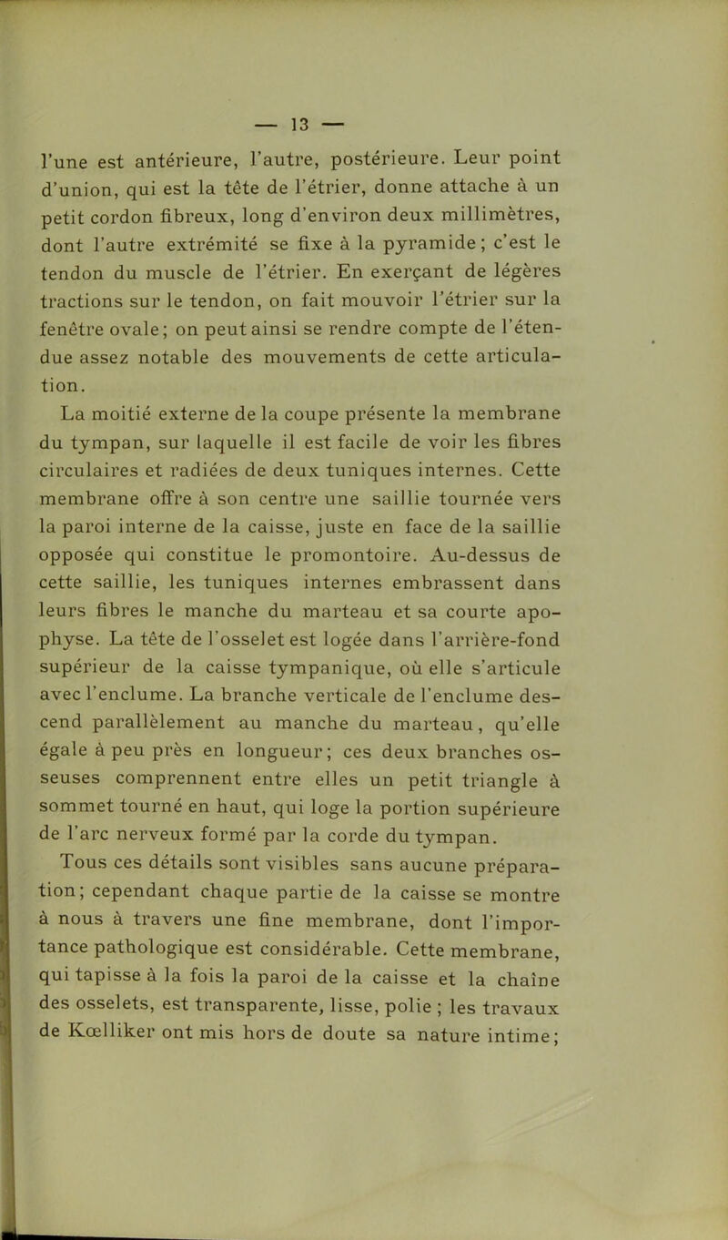 l’une est antérieure, l’autre, postérieure. Leur point d’union, qui est la tête de l’étrier, donne attache à un petit cordon fibreux, long d’environ deux millimètres, dont l’autre extrémité se fixe à la pyramide; c’est le tendon du muscle de l’étrier. En exerçant de légères tractions sur le tendon, on fait mouvoir l’étrier sur la fenêtre ovale; on peut ainsi se rendre compte de l’éten- due assez notable des mouvements de cette articula- tion. La moitié externe de la coupe présente la membrane du tympan, sur laquelle il est facile de voir les fibres circulaires et radiées de deux tuniques internes. Cette membrane offre à son centre une saillie tournée vers la paroi interne de la caisse, juste en face de la saillie opposée qui constitue le promontoire. Au-dessus de cette saillie, les tuniques internes embrassent dans leurs fibres le manche du marteau et sa courte apo- physe. La tête de l’osselet est logée dans l’arrière-fond supérieur de la caisse tympanique, où elle s’articule avec l’enclume. La branche verticale de l’enclume des- cend parallèlement au manche du marteau, qu’elle égale à peu près en longueur; ces deux branches os- seuses comprennent entre elles un petit triangle à sommet tourné en haut, qui loge la portion supérieure de l’arc nerveux formé par la corde du tympan. Tous ces détails sont visibles sans aucune prépara- tion; cependant chaque partie de la caisse se montre à nous à travers une fine membrane, dont l’impor- tance pathologique est considérable. Cette membrane, qui tapisse à la fois la paroi de la caisse et la chaîne des osselets, est transparente, lisse, polie ; les travaux de Kœlliker ont mis hors de doute sa nature intime;