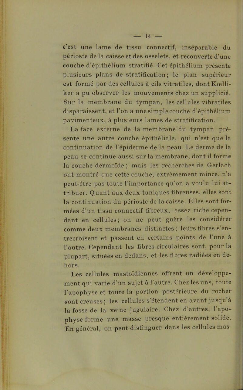 c’est une lame de tissu connectif, inséparable du périoste de la caisse et des osselets, et recouverte d’une couche d’épithélium stratifié. Cet épithélium présente plusieurs plans de stratification; le plan supérieur est formé par des cellules à cils vitratiles, dont Kœlli- ker a pu observer les mouvements chez un supplicié. Sur la membrane du tympan, les cellules vibratiles disparaissent, et l’on a une simple couche d’épithélium pavimenteux, à plusieurs lames de stratification. La face externe de la membrane du tympan pré- sente une autre couche épithéliale, qui n’est que la continuation de l’épiderme de la peau. Le derme de la peau se continue aussi sur la membrane, dont il forme la couche dermoïde ; mais les recherches de Gerlach ont montré que cette couche, extrêmement mince, n’a peut-être pas toute l’importance qu’on a voulu lui at- tribuer. Quant aux deux tuniques fibreuses, elles sont la continuation du périoste de la caisse. Elles sont for- mées d’un tissu connectif fibreux, assez riche cepen- dant en cellules; on ne peut guère les considérer comme deux membranes distinctes ; leurs fibres s’en- trecroisent et passent en certains points de l’une à l’autre. Cependant les fibres circulaires sont, pour la plupart, situées en dedans, et les fibres radiées en de- hors. Les cellules mastoïdiennes offrent un développe- ment qui varie d’un sujet à l’autre. Chez les uns, toute l’apophyse et toute la portion postérieure du rocher sont creuses; les cellules s’étendent en avant jusqu’à la fosse de la veine jugulaire. Chez d’autres, l’apo- physe forme une masse presque entièrement solide. En général, on peut distinguer dans les cellules mas-