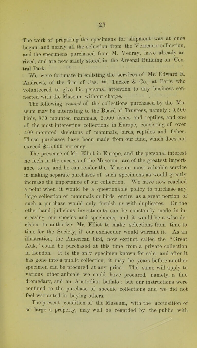 The work of preparing the specimens for shipment was at once begun, and nearly all the selection from the V erreaux collection, and the specimens purchased from M. Vedray, have already ar- rived, and are now safely stored in the Arsenal Building on Cen- tral Park. We were fortunate in enlisting the services of Mr. Edward R. Andrews, of the firm of Jas. W. Tucker & Co., at Paris, who volunteered to give his personal attention to any business con- nected with the Museum without charge. The following resume of the collections purchased by the Mu- seum may be interesting to the Board of Trustees, namely : 9,500 birds, 870 mounted mammals, 2,000 fishes and reptiles, and one of the most interesting collections in Europe, consisting of over 400 mounted skeletons of mammals, birds, reptiles and fishes. These purchases have been made from our fund, which does not exceed $45,000 currency. The presence of Mr. Elliot in Europe, and the personal interest he feels in the success of the Museum, are of the greatest import- ance to us, and he can render the Museum most valuable service in making separate purchases of such specimens.as would greatly increase the importance of our collection. We have now reached a point when it would be a questionable policy to purchase any large collection of mammals or birds entire, as a great portion of such a purchase would only furnish us with duplicates. On the other hand, judicious investments can be constantly made in in- creasing our species and specimens, and it would be a wise de- cision to authorize Mr. Elliot to make selections from time to time for the Society, if our exchequer would warrant it. As an illustration, the American bird, now extinct, called the “Great Auk,” could be purchased at this time from a private collection in London. It is the only specimen knoAvn for sale, and after it has gone into a public collection, it may be years before another specimen can be procured at any price. The same will apply to various other animals we could have procured, namely, a fine dromedary, and an Australian buffalo ; but our instructions were confined to the purchase of specific collections and we did not feel warranted in buying others. The present condition of the Museum, with the acquisition of so large a property, may well be regarded by the public with