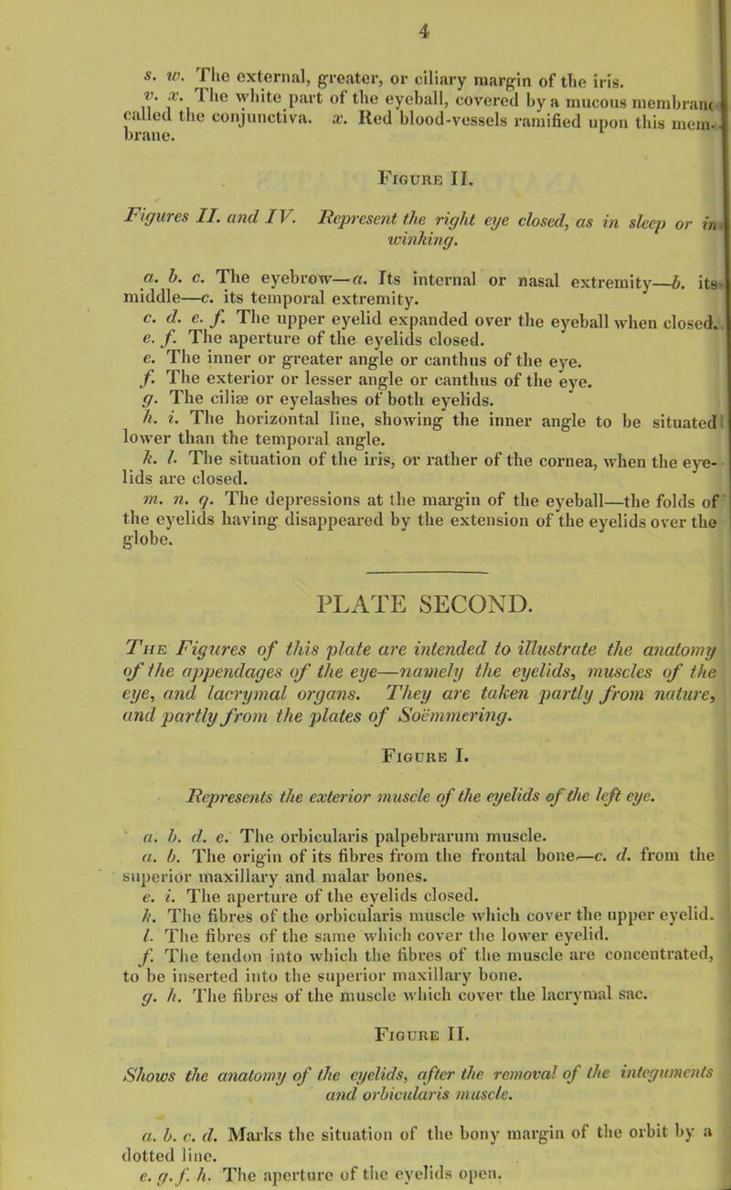 s. w. ^-Tlie external, greater, or ciliary margin of the iris. n f ’l ^ *1C w^llte l)art °f ^ie eyeball, covered by a mucous membrane called the conjunctiva, x. lied blood-vessels ramified upon this mem- brane. Figure II. Figures II. aiul IV. Represent the right eye closed, as in sleep or im winking. a. h. c. The eyebrow— a. Its internal or nasal extremity—b. its- middle—c. its temporal extremity. c. d. e. f. The upper eyelid expanded over the eyeball when closed.. e. f. The aperture of the eyelids closed. e. The inner or greater angle or canthus of the eye. f. The exterior or lesser angle or canthus of the eye. g. The cilise or eyelashes of both eyelids. h. i. The horizontal line, showing the inner angle to be situated I lower than the temporal angle. k. 1. The situation of the iris, or rather of the cornea, when the eye- lids are closed. m. n. q. The depressions at the margin of the eyeball—the folds of the eyelids having disappeared by the extension of the eyelids over the globe. PLATE SECOND. The Figures of this plate are intended to illustrate the anatomy of the appendages of the eye—namely the eyelids, muscles of the eye, and lacrymal organs. They are taken partly from nature, and partly from the plates of Soemmering. Figure I. Represents the exterior muscle of the eyelids of the left eye. a. h. d. e. The orbicularis palpebrarum muscle. a. b. The origin of its fibres from the frontal bone.—c. cl. from the superior maxillary and malar bones. e. i. The aperture of the eyelids closed. h. The fibres of the orbicularis muscle which cover the upper eyelid, j l. The fibres of the same which cover the lower eyelid. f. The tendon into which the fibres of the muscle are concentrated, j to be inserted into the superior maxillary bone. g. h. The fibres of the muscle which cover the lacrymal sac. Figure II. Shows the anatomy of the eyelids, after the removal of the integuments and orbicularis muscle. a. b. c. d. Marks the situation of the bony margin of the orbit by a dotted line. c. g.f h. The aperture of the eyelids open.