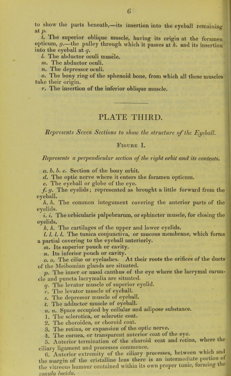 G to show the parts beneath,—its insertion into the eyeball remaining i. The superior oblique muscle, having its origin at the foramen opticum, g.—the pulley through which it passes at k. and its insertion into the eyeball at q. l. The abductor oculi muscle. m. The abductor oculi. n. The depressor oculi. o. The bony ring of the sphenoid bone, from which all these muscles take their origin. r. The insertion of the inferior oblique muscle. PLATE THIRD. Represents Seven Sections to show the structure of the Eyeball. Figure I. Represents a perpendicular section of the right orbit and its contents. a. b. b. c. Section of the bony orbit. d. The optic nerve where it enters the foramen opticum. e. The eyeball or globe of the eye. f. g. The eyelids; represented as brought a little forward from the eyeball. h. h. The common integument covering the anterior parts of the eyelids. i. i. The orbicularis palpebrarum, or sphincter muscle, for closing the eyelids. k. k. The cartilages of the upper and lower eyelids. l. 1. 1. 1. The tunica conjunctiva, or mucous membrane, which forms a partial covering to the eyeball anteriorly. m. Its superior pouch or cavity. n. Its inferior pouch or cavity. o. o. The ciliae or eyelashes. At their roots the orifices of the ducts of the Meibomian glands are situated. p. The inner or nasal canthus of the eye where the lacrymal carun- cle and puncta lacrymalia are situated. q. The levator muscle of superior eyelid. r. The levator muscle of eyeball. s. The depressor muscle of eyeball. t. The adductor muscle of eyeball. u. u. Space occupied by cellular and adipose substance. 1. The sclerotica, or sclerotic coat. 2. The choroidea, or choroid coat. 3. The retina, or expansion of the optic nerve. 4. The cornea, or transparent anterior coat of the eye. 5. Anterior termination of the choroid coat and retina, where the ciliary ligament and processes commence. 6. Anterior extremity of the ciliary processes, between which and the margin of the cristalline lens there is an intermediate portion ot the vitreous humour contained within its own proper tunic, forming the zonula lucidci.