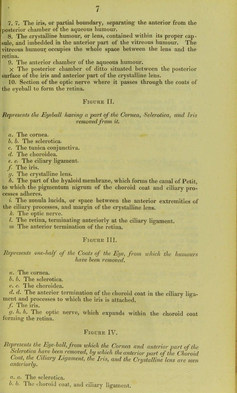 7. 7. The iris, or partial boundary, separating- the anterior from the posterior chamber of the aqueous humour. 8. The crystalline humour, or lens, contained within its proper cap- sule, and imbedded in the anterior part of the vitreous humour. The vitreous humour; occupies the whole space between the lens and the retina. 9. The anterior chamber of the aqueous humour. X The posterior chamber of ditto situated between the posterior surface of the iris and anterior part of the crystalline lens. 10. Section of the optic nerve where it passes through the coats of the eyeball to form the retina. Figure II. Represents the Eyeball having a part of the Cornea, Sclerotica, and Iris removed from it. a. The cornea. b. b. The sclerotica. c. The tunica conjunctiva. d. The choroidea. e. e. The ciliary ligament. f The iris. g. The crystalline lens. h. The part of the hyaloid membrane, which forms the canal of Petit, to which the pigmentum nigrum of the choroid coat and ciliary pro- cesses adheres. i. The zonula lucida, or space between the anterior extremities of the ciliary processes, and margin of the crystalline lens. h. The optic nerve. 1. The retina, terminating anteriorly at the ciliary ligament. m The anterior termination of the retina. Figure III. Represents one-half of the Coats of the Eye, from which the humours have been removed. a. The cornea. b. b. The sclerotica. c. c. The choroidea. d. d. The anterior termination of the choroid coat in the ciliary liga- ment and processes to which the iris is attached. f. The iris. g. h. h. The optic nerve, which expands within the choroid coat forming the retina. Figure IV. Represents the Eye-ball, from which the Cornea and anterior part of the Sclerotica have been removed, by which the anterior part of the Choroid Coat, the Ciliary Ligament, the Iris, and the Crystalline le?is are seen anteriorly. a. a. The sclerotica. b. b. 1 he choroid coat, and ciliary ligament.