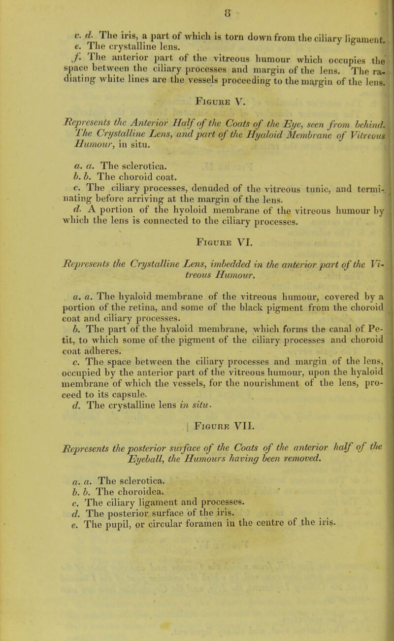 e. The crystalline lens. ./• 1 he anterior part of the vitreous humour which occupies tlie space between the ciliary processes and margin of the lens. The ra- diating white lines are the vessels proceeding to the margin of the lens. Figure V. Represents the Anterior Half of the Coats of the Eye, seen from behind. The Crystalline Lens, and part of the Hyaloid Membrane of Vitreous Humour, in situ. a. a. The sclerotica. b. b. The choroid coat. c. The ciliary processes, denuded of the vitreous tunic, and termi- nating before arriving at the margin of the lens. d. A portion of the hyoloid membrane of the vitreous humour by which the lens is connected to the ciliary processes. \ Figure VI. Represents the Crystalline Lens, imbedded in the anterior part of the Vi- treous Humour. a. a. The hyaloid membrane of the vitreous humour, covered by a portion of the retina, and some of the black pigment from the choroid coat and ciliary processes. b. The part of the hyaloid membrane, which forms the canal of Pe- tit, to which some of the pigment of the ciliary processes and choroid coat adheres. c. The space between the ciliary processes and margin of the lens, occupied by the anterior part of the vitreous humour, upon the hyaloid membrane of which the vessels, for the nourishment of the lens, pro- ceed to its capsule. d. The crystalline lens in situ. | Figure VII. Represents the posterior surface of the Coats of the anterior half of the Eyeball, the Humours having been removed. a. a. The sclerotica. b. b. The choroidea. c. The ciliary ligament and processes. d. The posterior surface of the iris. e. The pupil, or circular foramen iu the centre ot the iris.