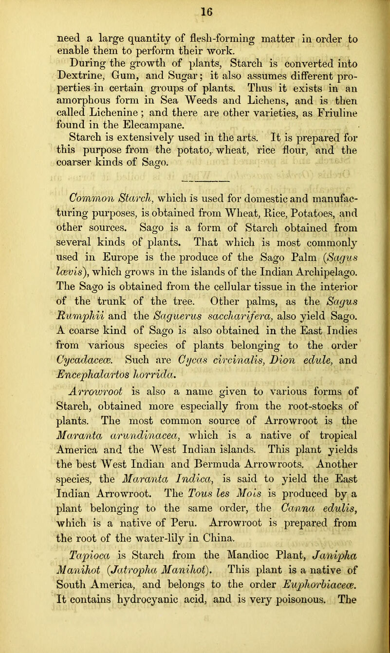 need a large quantity of flesh-forming matter in order to enable them to perform their work. During the growth of plants, Starch is converted into Dextrine, Gum, and Sugar; it also assumes different pro- perties in certain groups of plants. Thus it exists in an amorphous form in Sea Weeds and Lichens, and is then called Lichenine ; and there are other varieties, as Friuline found in the Elecampane. Starch is extensively used in the arts. It is prepared for this purpose from the potato,, wheat, rice flour, and the coarser kinds of Sago. Common Starch, which is used for domestic and manufac- turing purposes, is obtained from Wheat, Rice, Potatoes, and other sources. Sago is a form of Starch obtained from several kinds of plants. That which is most commonly used in Europe is the produce of the Sago Palm (Sagus Icevis), which grows in the islands of the Indian Archipelago. The Sago is obtained from the cellular tissue in the interior of the trunk of the tree. Other palms, as the Sagus Rumphii and the Sagiierus saccharifera, also yield Sago. A coarse kind of Sago is also obtained in the East Indies from various species of plants belonging to the order Cycaclacece. Such are Cycas circinalis, Dion edule, and Encephalartos horrida. Arroivroot is also a name given to various forms of Starch, obtained more especially from the root-stocks of plants. The most common source of Arrowroot is the Maranta arundinacea, which is a native of tropical America and the West Indian islands. This plant yields the best West Indian and Bermuda Arrowroots. Another species, the Maranta Indica, is said to yield the East Indian Arrowroot. The Tons les Mo is is produced by a plant belonging to the same order, the Canna edulis, which is a native of Peru. Arrowroot is prepared from the root of the water-lily in China. Tapioca is Starch from the Mandioc Plant, Janiplia Manihot (Jatropha Manihot). This plant is a native of South America, and belongs to the order Eupliorbiacece. It contains hydrocyanic acid, and is very poisonous. The