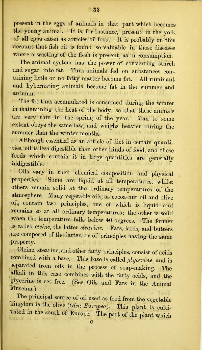 present in the eggs of animals in that part which becomes the young animal. It is, for instance, present in the yolk of all eggs eaten as articles of food. It is probably on this account that fish oil is found so valuable in those diseases where a wasting of the flesh is present, as in consumption. The animal system has the power of converting starch and sugar into fat. Thus animals fed on substances con- taining little or no fatty matter become fat. All ruminant and hybernating animals become fat in the summer and autumn. The fat thus accumulated is consumed during the winter in maintaining the heat of the body, so that these animals are very thin in the spring of the year. Man to some extent obeys the same law, and weighs heavier during the summer than the winter months. Although essential as an article of diet in certain quanti- ties, oil is less digestible than other kinds of food, and those foods which contain it in large quantities are generally indigestible. Oils vary in their chemical composition and physical properties. Some are liquid at all temperatures, whilst others remain solid at the ordinary temperatures of the atmosphere. Many vegetable oils, as cocoa-nut oil and olive oil, contain two principles, one of which is liquid and remains so at all ordinary temperatures; the other is solid when the temperature falls below 40 degrees. The former is called oleine, the latter stearine. Fats, lards, and butters are composed of the latter, or of principles having the same property. Oleine, stearine, and other fatty principles, consist of acids combined with a base. This base is called glycerine, and is separated from oils in the process of soap-making. The alkali in this case combines with the fatty acids, and the glycerine is set free. (See Oils and Fats in the Animal Museum.) . The Pnncipal source of oil used as food from the vegetable kingdom is the olive (Olea Europea). This plant is culti- vated in the south of Europe. The part of the plant which c