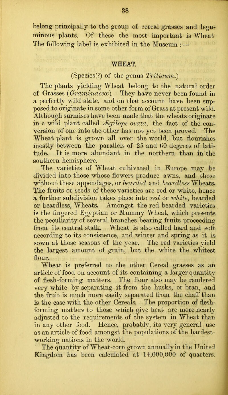 belong principally to the group of cereal grasses and legu- minous plants. Of these the most important is Wheat The following label is exhibited in the Museum : — WHEAT. (Species (?) of the genus Triticum.) The plants yielding Wheat belong to the natural order of Grasses (Graminacece). They have never been found in a perfectly wild state, and on that account have been sup- posed to originate in some other form of Grass at present wild. Although surmises have been made that the wheats originate in a wild plant called vEgilops ovatct, the fact of the con- version of one into the other has not yet been proved. The Wheat plant is grown all over the world, but flourishes mostly between the parallels of 25 and 60 degrees of lati- tude. It is more abundant in the northern than in the southern hemisphere. The varieties of Wheat cultivated in Europe may be divided into those whose flowers produce awns, and those without these appendages, or bearded and beardless Wheats. The fruits or seeds of these varieties are red or white, hence a further subdivision takes place into red or white, bearded or beardless, Wheats. Amongst the red bearded varieties is the fingered Egyptian or Mummy Wheat, which presents the peculiarity of several branches bearing fruits proceeding from its central stalk. Wheat is also called hard and soft according to its consistence, and winter and spring as it is sown at those seasons of the year. The red varieties yield the largest amount of grain, but the white the whitest flour. Wheat is preferred to the other Cereal grasses as an article of food on account of its containing a larger quantity of flesh-forming matters. The flour also may be rendered very white by separating it from the husks, or bran, and the fruit is much more easily separated from the chaff' than is the case with the other Cereals. The proportion of flesh- forming matters to those which give heat are more nearly adjusted to the requirements of the system in Wheat than in any other food. Hence, probably, its very general use as an article of food amongst the populations of the hardest- working nations in the world. The quantity of Wheat-corn grown annually in the United Kingdom has been calculated at 14,000,000 of quarters.