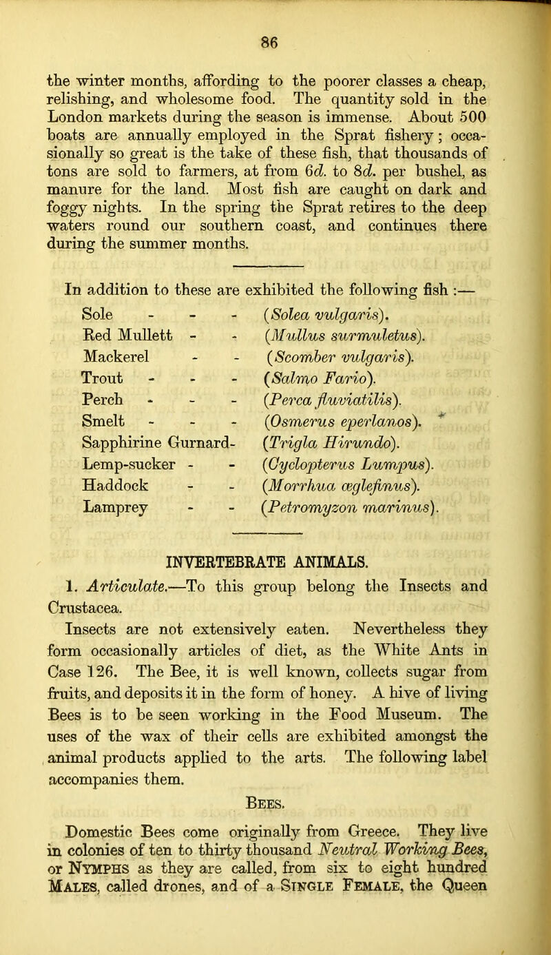 the winter months, affording to the poorer classes a cheap, relishing, and wholesome food. The quantity sold in the London markets during the season is immense. About 500 boats are annually employed in the Sprat fishery; occa- sionally so great is the take of these fish, that thousands of tons are sold to farmers, at from 6d. to 8d. per bushel, as manure for the land. Most fish are caught on dark and foggy nights. In the spring the Sprat retires to the deep waters round our southern coast, and continues there during the summer months. In addition to these are exhibited the following fish :— Sole Red Mullett - Mackerel Trout Perch Smelt Sapphirine Gurnard- Lemp-sucker - Haddock Lamprey (Solea vulgaris). (.Mullus surmuletus). (.Scomber vulgaris). (Salmo Farid). {Perea fluviatilis). (Osmerus eperlanos). {Trigla Hirundo). {Gyclopterus Lumpus). {Morrhua ceglejinus). {Petromyzon marinus). INVERTEBRATE ANIMALS. 1. Articulate.—To this group belong the Insects and Crustacea. Insects are not extensively eaten. Nevertheless they form occasionally articles of diet, as the White Ants in Case 126. The Bee, it is well known, collects sugar from fruits, and deposits it in the form of honey. A hive of living Bees is to be seen working in the Food Museum. The uses of the wax of their cells are exhibited amongst the animal products applied to the arts. The following label accompanies them. Bees. Domestic Bees come originally from Greece. They live in colonies of ten to thirty thousand Neutral Working Bees; or Nymphs as they are called, from six to eight hundred Males, called drones, and of a Single Female, the Queen
