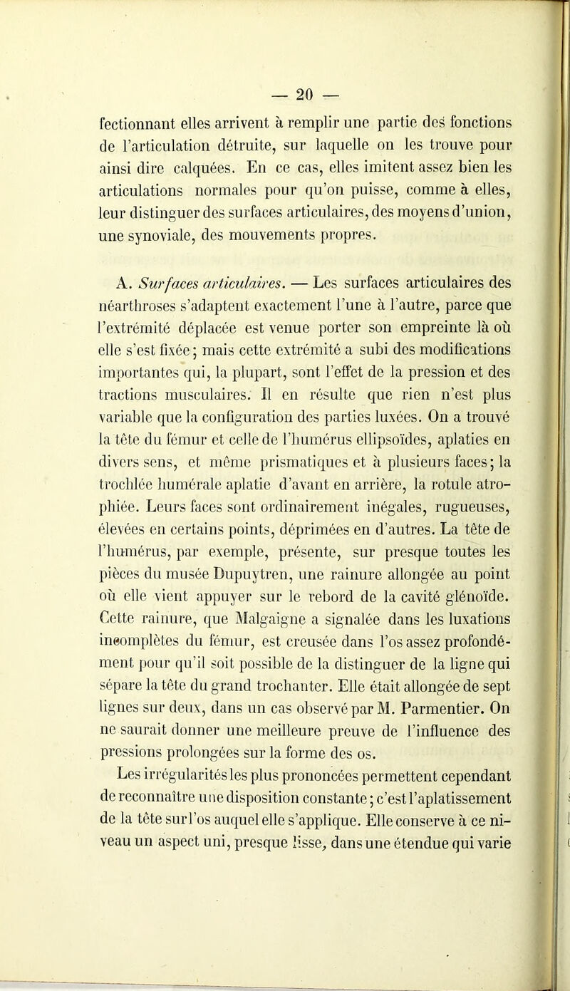 fectionnant elles arrivent à remplir une partie des fonctions de l’articulation détruite, sur laquelle on les trouve pour ainsi dire calquées. En ce cas, elles imitent assez bien les articulations normales pour qu’on puisse, comme à elles, leur distinguer des surfaces articulaires, des moyens d’union, une synoviale, des mouvements propres. A. Surfaces articulaires. — Les surfaces articulaires des néarthroses s’adaptent exactement l’une à l’autre, parce que l’extrémité déplacée est venue porter son empreinte là où elle s’est fixée; mais cette extrémité a subi des modifications importantes qui, la plupart, sont l’effet de la pression et des tractions musculaires. Il en résulte que rien n’est plus variable que la configuration des parties luxées. On a trouvé la tête du fémur et celle de l’humérus ellipsoïdes, aplaties en divers sens, et même prismatiques et à plusieurs faces ; la trochlée humérale aplatie d’avant en arrière, la rotule atro- phiée. Leurs faces sont ordinairement inégales, rugueuses, élevées en certains points, déprimées en d’autres. La tête de l’humérus, par exemple, présente, sur presque toutes les pièces du musée Dupuytren, une rainure allongée au point où elle vient appuyer sur le rebord de la cavité glénoïde. Cette rainure, que Malgaigne a signalée dans les luxations incomplètes du fémur, est creusée dans l’os assez profondé- ment pour qu’il soit possible de la distinguer de la ligne qui sépare la tête du grand trochanter. Elle était allongée de sept lignes sur deux, dans un cas observé par M. Parmentier. On ne saurait donner une meilleure preuve de l’influence des pressions prolongées sur la forme des os. Les irrégularités les plus prononcées permettent cependant de reconnaître une disposition constante ; c’est l’aplatissement de la tête sur l’os auquel elle s’applique. Elle conserve à ce ni- veau un aspect uni, presque lisse, dans une étendue qui varie