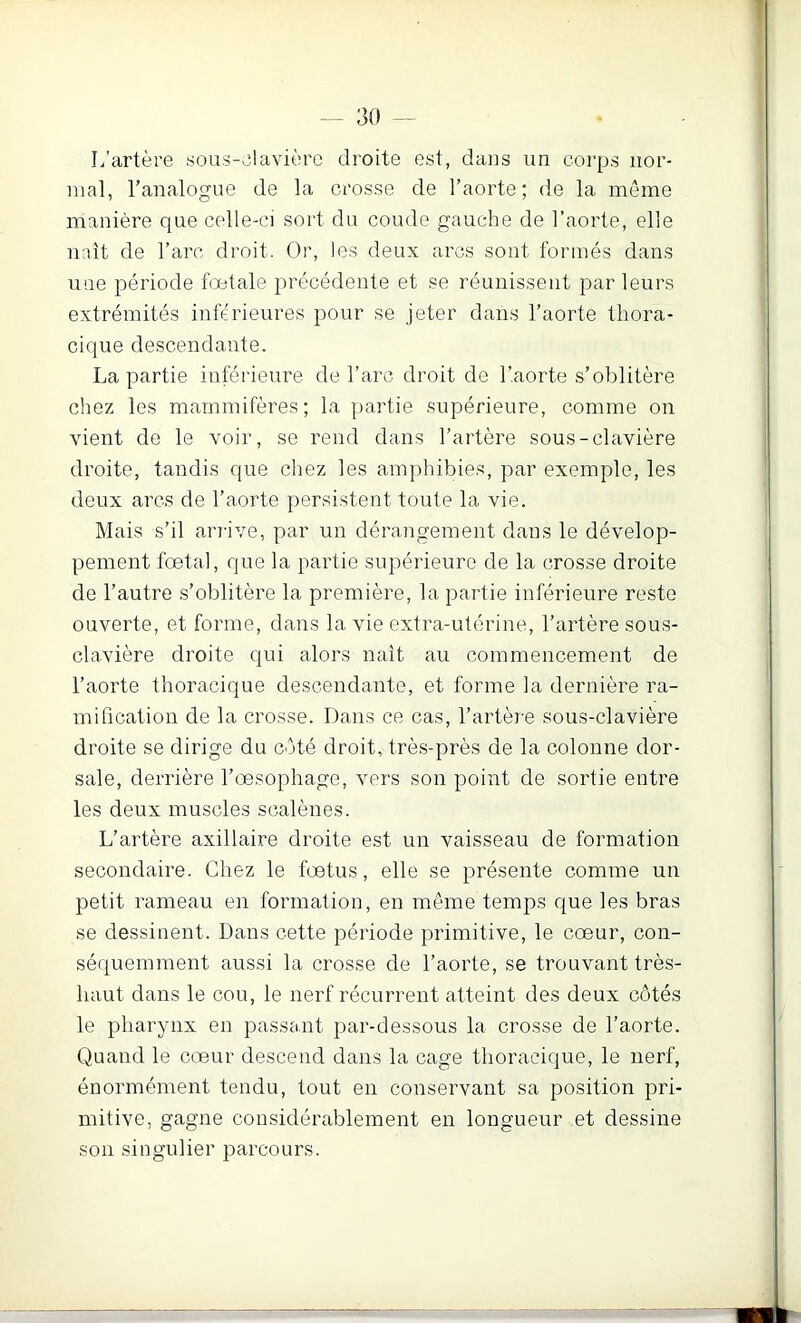 L’artère sous-elavièro droite est, dans un corps nor- mal, l’analogue de la crosse de l’aorte; de la môme manière que celle-ci sort du coude gauche de l’aorte, elle naît de l’arc droit. Or, les deux arcs sont formés dans une période fœtale précédente et se réunissent par leurs extrémités inférieures pour se jeter dans l’aorte thora- cique descendante. La partie inférieure de l’arc droit de l’aorte s’oblitère chez les mammifères; la partie supérieure, comme on vient de le voir, se rend dans l’artère sous-clavière droite, tandis que chez les amphibies, par exemple, les deux arcs de l’aorte persistent toute la vie. Mais s’il arrive, par un dérangement dans le dévelop- pement fœtal, que la partie supérieure de la crosse droite de l’autre s’oblitère la première, la partie inférieure reste ouverte, et forme, dans la vie extra-utérine, l’artère sous- clavière droite qui alors naît au commencement de l’aorte thoracique descendante, et forme la dernière ra- mification de la crosse. Dans ce cas, l’artère sous-clavière droite se dirige du coté droit, très-près de la colonne dor- sale, derrière l’œsophage, vers son point de sortie entre les deux muscles scalènes. L’artère axillaire droite est un vaisseau de formation secondaire. Chez le fœtus, elle se présente comme un petit rameau en formalion, en même temps que les bras se dessinent. Dans cette période primitive, le cœur, con- séquemment aussi la crosse de l’aorte, se trouvant très- haut dans le cou, le nerf récurrent atteint des deux côtés le pharynx en passant par-dessous la crosse de l’aorte. Quand le cœur descend dans la cage thoracique, le nerf, énormément tendu, tout en conservant sa position pri- mitive, gagne considérablement en longueur et dessine son singulier parcours.