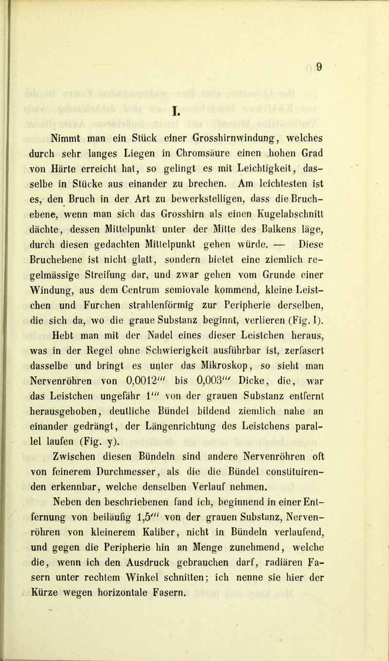 I. Nimmt man ein Slück einer Grosshirnwindung, welches durch sehr langes Liegen in Chromsäure einen hohen Grad von Härte erreicht hat, so gelingt es mit Leichtigkeit, das- selbe in Stücke aus einander zu brechen. Am leichtesten ist es, den Bruch in der Art zu bewerkstelligen, dass die Bruch- ebene, wenn man sich das Grosshirn als einen Kugelabschnitt dächte, dessen Mittelpunkt unter der Mitte des Balkens läge, durch diesen gedachten Mittelpunkt gehen würde. — Diese Bruchebene ist nicht glatt, sondern bietet eine ziemlich re- gelmässige Streifung dar, und zwar gehen vom Grunde einer Windung, aus dem Centrum semiovale kommend, kleine Leist- chen und Furchen strahlenförmig zur Peripherie derselben, die sich da, wo die graue Substanz beginnt, verlieren (Fig. I). Hebt man mit der Nadel eines dieser Leisichen heraus, was in der Regel ohne Schwierigkeit ausführbar ist, zerfasert dasselbe und bringt es unter das Mikroskop, so sieht man Nervenröhren von 0,001‘2/// bis 0,003' Dicke, die, war das Leistchen ungefähr 1' von der grauen Substanz entfernt herausgehoben, deutliche Bündel bildend ziemlich nahe an einander gedrängt, der Längenrichtung des Leistchens paral- lel laufen (Fig. y). Zwischen diesen Bündeln sind andere Nervenröhren oft von feinerem Durchmesser, als die die Bündel conslituiren- den erkennbar, welche denselben Verlauf nehmen. Neben den beschriebenen fand ich, beginnend in einer Ent- fernung von beiläufig 1,5' von der grauen Substanz, Nerven- röhren von kleinerem Kaliber, nicht in Bündeln verlaufend, und gegen die Peripherie hin an Menge zunehmend, welche die, wenn ich den Ausdruck gebrauchen darf, radiären Fa- sern unter rechtem Winkel schnitten; ich nenne sie hier der Kürze wegen horizontale Fasern.