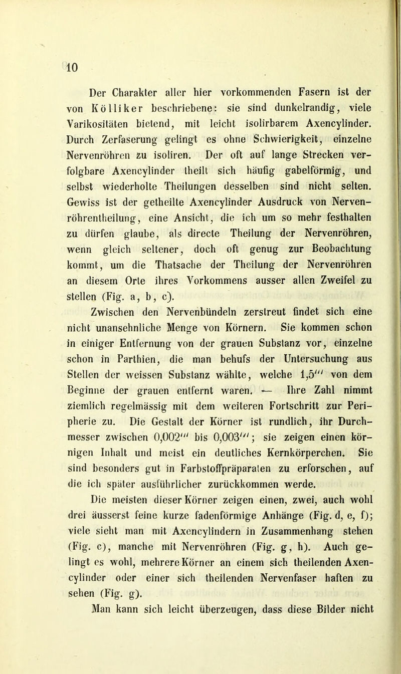 Der Charakter aller hier vorkommenden Fasern ist der von Kölliker beschriebene: sie sind dunkelrandig, viele Varikositäten bietend, mit leicht isolirbarem Axencylinder. Durch Zerfaserung gelingt es ohne Schwierigkeit, einzelne Nervenröhren zu isoliren. Der oft auf lange Strecken ver- folgbare Axencylinder tbeilt sich häufig gabelförmig, und selbst wiederholte Theilungen desselben sind nicht selten. Gewiss ist der getheilte Axencylinder Ausdruck von Nerven- röhrentheilung, eine Ansicht, die ich um so mehr festhalten zu dürfen glaube, als directe Theilung der Nervenröhren, wenn gleich seltener, doch oft genug zur Beobachtung kommt, um die Thatsache der Theilung der Nervenröhren an diesem Orte ihres Vorkommens ausser allen Zweifel zu stellen (Fig. a, b, c). Zwischen den Nervenbündeln zerstreut findet sich eine nicht unansehnliche Menge von Körnern. Sie kommen schon in einiger Entfernung von der grauen Substanz vor, einzelne schon in Parthien, die man behufs der Untersuchung aus Stellen der weissen Substanz wählte, welche 1,5' von dem Beginne der grauen entfernt waren. — Ihre Zahl nimmt ziemlich regelmässig mit dem weiteren Fortschritt zur Peri- pherie zu. Die Gestalt der Körner ist rundlich, ihr Durch- messer zwischen 0,002' bis 0,003'; sie zeigen einen kör- nigen Inhalt und meist ein deutliches Kernkörperchen. Sie sind besonders gut in Farbstoffpräparaten zu erforschen, auf die ich später ausführlicher zurückkommen werde. Die meisten dieser Körner zeigen einen, zwei, auch wohl drei äusserst feine kurze fadenförmige Anhänge (Fig. d, e, f); viele sieht man mit Axencylindern in Zusammenhang stehen (Fig. c), manche mit Nervenröhren (Fig. g, h). Auch ge- lingt es wohl, mehrere Körner an einem sich theilenden Axen- cylinder oder einer sich theilenden Nervenfaser haften zu sehen (Fig. g). Man kann sich leicht überzeugen, dass diese Bilder nicht