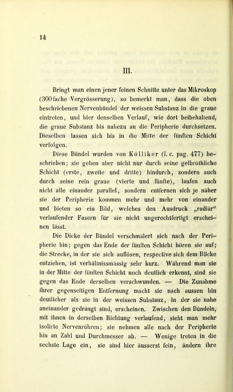 m. Bringt man einen jener feinen Schnitte unter das Mikroskop (300fache Vergrösserung), so bemerkt man, dass die oben beschriebenen Nervenbündel der weissen Substanz in die graue eintreten, und hier denselben Verlauf, wie dort beibehaltend, die graue Substanz bis nahezu an die Peripherie durchsetzen. Dieselben lassen sich bis in die Milte der fünften Schicht verfolgen. Diese Bündel wurden von Kölliker (1. c. pag. 477) be- schrieben; sie gehen aber nicht nur durch seine gelbröthliche Schicht (erste, zweite und dritte) hindurch, sondern auch durch seine rein graue (vierte und fünfte), laufen auch nicht alle einander parallel, sondern entfernen sich je näher sie der Peripherie kommen mehr und mehr von einander und bieten so ein Bild, welches den Ausdruck „radiär“ verlaufender Fasern für sie nicht ungerechtfertigt erschei- nen lässt. Die Dicke der Bündel verschmälert sich nach der Peri- pherie hin; gegen das Ende der fünften Schicht hören sie auf; die Strecke, in der sie sich auflösen, respective sich dem Blicke entziehen, ist verhältnissmässig sehr kurz. Während man sie in der Mitte der fünften Schicht noch deutlich erkennt, sind sie gegen das Ende derselben verschwunden. — Die Zunahme ihrer gegenseitigen Entfernung macht sie nach aussen hin deutlicher als sie in der weissen Substanz, in der sie nahe aneinander gedrängt sind, erscheinen. Zwischen den Bündeln, mit ihnen in derselben Richtung verlaufend, sieht man mehr isolirte Nervenröhren; sie nehmen alle nach der Peripherie hin an Zahl und Durchmesser ab. — Wenige treten in die sechste Lage ein, sie sind hier äusserst fein, ändern ihre