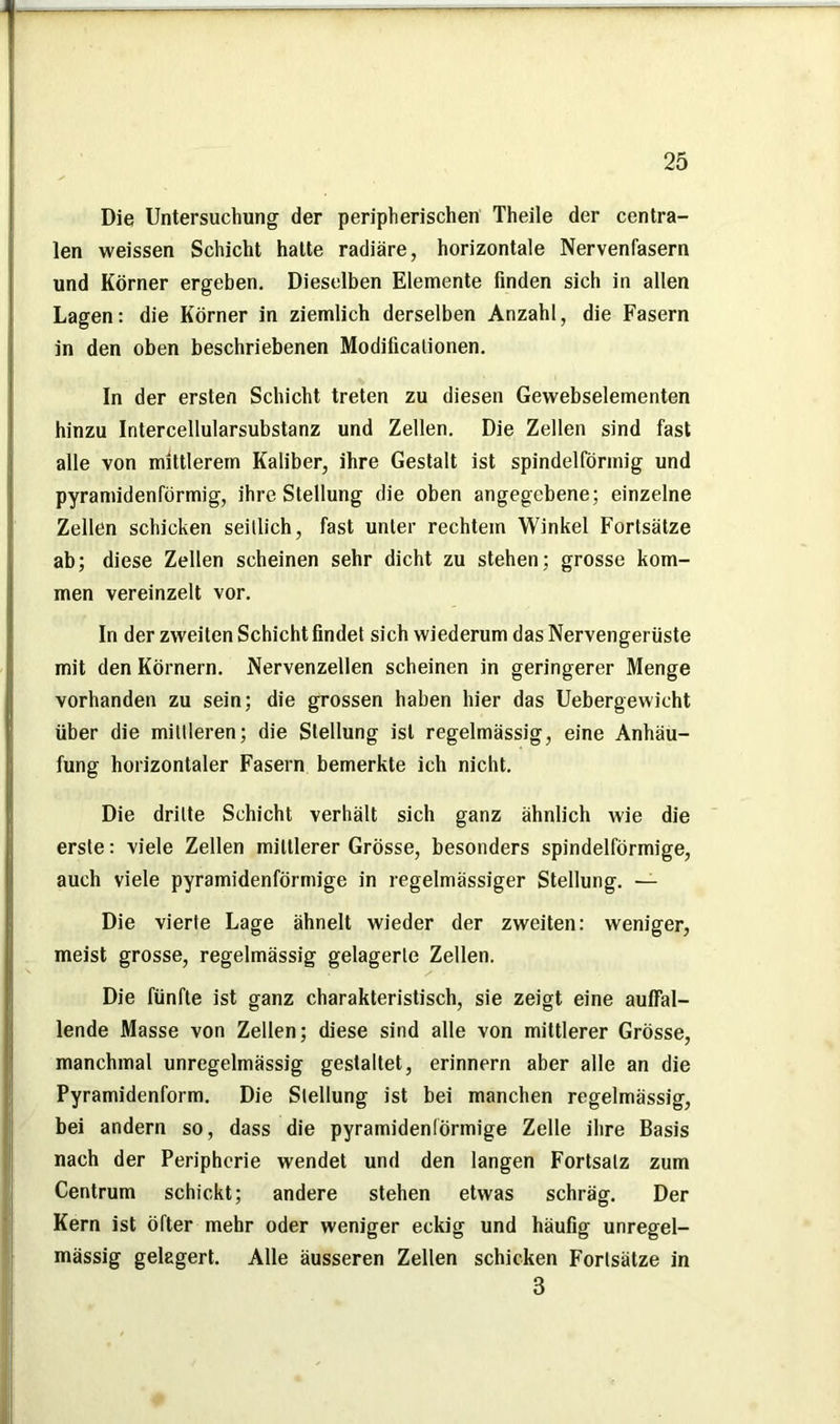 Die Untersuchung der peripherischen Theile der centra- len weissen Schicht hatte radiäre, horizontale Nervenfasern und Körner ergeben. Dieselben Elemente finden sich in allen Lagen: die Körner in ziemlich derselben Anzahl, die Fasern in den oben beschriebenen Modilicalionen. In der ersten Schicht treten zu diesen Gewebselementen hinzu Intercellularsubstanz und Zellen. Die Zellen sind fast alle von mittlerem Kaliber, ihre Gestalt ist spindelförmig und pyramidenförmig, ihre Stellung die oben angegebene; einzelne Zellen schicken seitlich, fast unter rechtem Winkel Fortsätze ab; diese Zellen scheinen sehr dicht zu stehen; grosse kom- men vereinzelt vor. In der zweiten Schicht findet sich wiederum das Nervengerüste mit den Körnern. Nervenzellen scheinen in geringerer Menge vorhanden zu sein; die grossen haben hier das Uebergewicht über die mittleren; die Stellung ist regelmässig, eine Anhäu- fung horizontaler Fasern bemerkte ich nicht. Die dritte Schicht verhält sich ganz ähnlich wie die erste: viele Zellen mittlerer Grösse, besonders spindelförmige, auch viele pyramidenförmige in regelmässiger Stellung. — Die vierte Lage ähnelt wieder der zweiten: weniger, meist grosse, regelmässig gelagerte Zellen. Die fünfte ist ganz charakteristisch, sie zeigt eine auffal- lende Masse von Zellen; diese sind alle von mittlerer Grösse, manchmal unregelmässig gestaltet, erinnern aber alle an die Pyramidenform. Die Stellung ist bei manchen regelmässig, bei andern so, dass die pyramidenförmige Zelle ihre Basis nach der Peripherie wendet und den langen Fortsatz zum Centrum schickt; andere stehen etwas schräg. Der Kern ist öfter mehr oder weniger eckig und häufig unregel- mässig gelagert. Alle äusseren Zellen schicken Fortsätze in 3