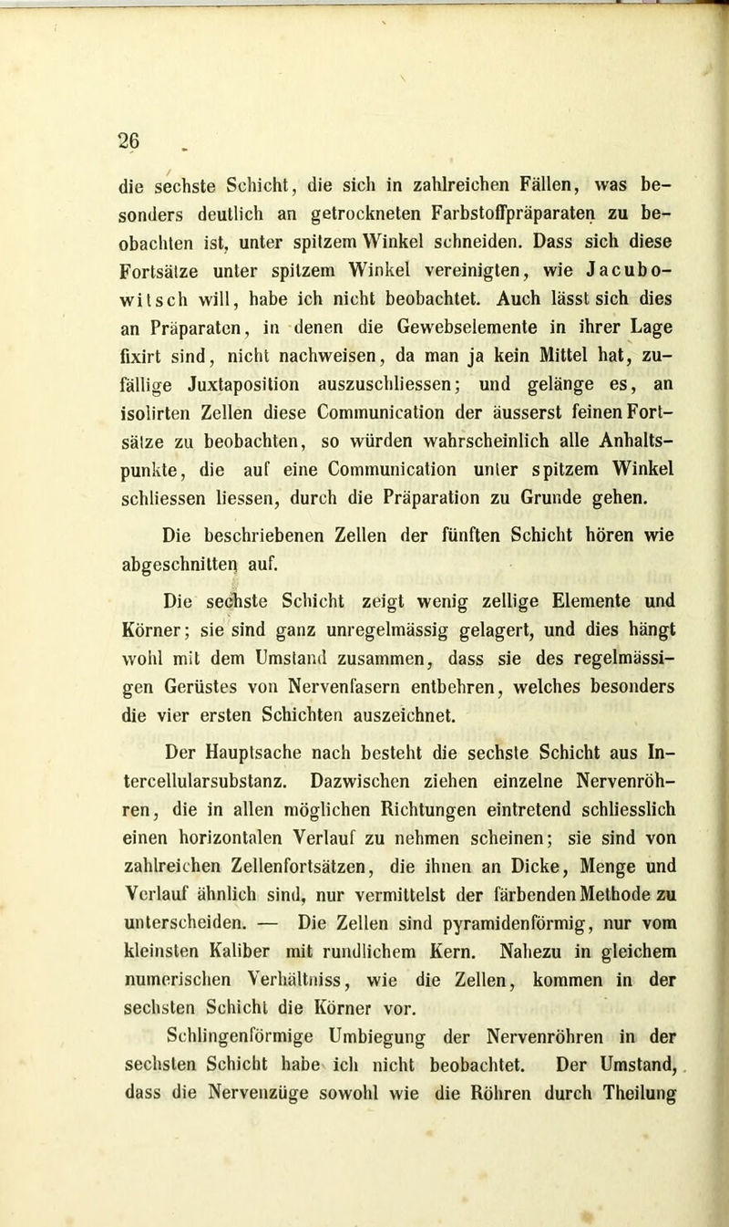 die sechste Schicht, die sich in zahlreichen Fällen, was be- sonders deutlich an getrockneten Farbstoffpräparaten zu be- obachten ist, unter spitzem Winkel schneiden. Dass sich diese Fortsätze unter spitzem Winkel vereinigten, wie Jacubo- wilsch will, habe ich nicht beobachtet. Auch lässt sich dies an Präparaten, in denen die Gewebselemente in ihrer Lage fixirt sind, nicht nachweisen, da man ja kein Mittel hat, zu- fällige Juxtaposition auszuschliessen; und gelänge es, an isolirten Zellen diese Communieation der äusserst feinen Fort- sätze zu beobachten, so würden wahrscheinlich alle Anhalts- punkte, die auf eine Communieation unter spitzem Winkel schliessen liessen, durch die Präparation zu Grunde gehen. Die beschriebenen Zellen der fünften Schicht hören wie abgeschnitten auf. Die sechste Schicht zeigt wenig zellige Elemente und Körner; sie sind ganz unregelmässig gelagert, und dies hängt wohl mit dem Umstand zusammen, dass sie des regelmässi- gen Gerüstes von Nervenfasern entbehren, welches besonders die vier ersten Schichten auszeichnet. Der Hauptsache nach besteht die sechste Schicht aus In- tercellularsubstanz. Dazwischen ziehen einzelne Nervenröh- ren, die in allen möglichen Richtungen eintretend schliesslich einen horizontalen Verlauf zu nehmen scheinen; sie sind von zahlreichen Zellenfortsätzen, die ihnen an Dicke, Menge und Verlauf ähnlich sind, nur vermittelst der färbenden Methode zu unterscheiden. — Die Zellen sind pyramidenförmig, nur vom kleinsten Kaliber mit rundlichem Kern. Nahezu in gleichem numerischen Verhältnis«, wie die Zellen, kommen in der sechsten Schicht die Körner vor. Schlingenförmige Umbiegung der Nervenröhren in der sechsten Schicht habe ich nicht beobachtet. Der Umstand, dass die Nervenzüge sowohl wie die Röhren durch Theilung