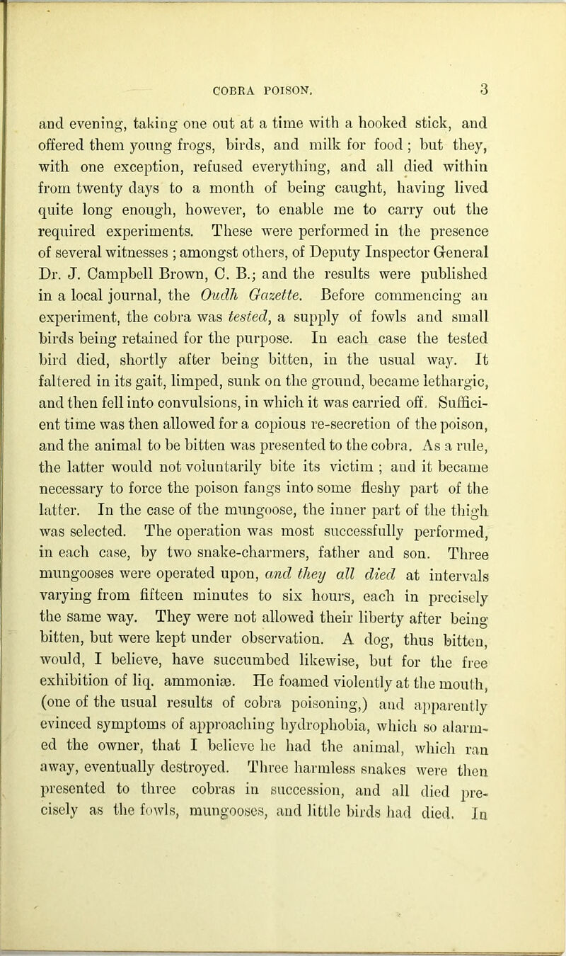 and evening, taking one out at a time with a hooked stick, and offered them young frogs, birds, and milk for food ; but they, with one exception, refused everything, and all died within from twenty days to a month of being caught, having lived quite long enough, however, to enable me to carry out the required experiments. These were performed in the presence of several witnesses ; amongst others, of Deputy Inspector General Dr. J. Campbell Brown, 0. B.; and the results were published in a local journal, the Oudh Gazette. Before commencing an experiment, the cobra was tested, a supply of fowls and small birds being retained for the purpose. In each case the tested bird died, shortly after being bitten, in the usual way. It faltered in its gait, limped, sunk on the ground, became lethargic, and then fell into convulsions, in which it was carried off. Suffici- ent time was then allowed for a copious re-secretion of the poison, and the animal to be bitten was presented to the cobra. As a rule, the latter would not voluntarily bite its victim ; and it became necessary to force the poison fangs into some fleshy part of the latter. In the case of the mungoose, the inner part of the thigh was selected. The operation was most successfully performed, in each case, by two snake-charmers, father and son. Three nmngooses were operated upon, and they all died at intervals vaiying from fifteen minutes to six hours, each in precisely the same way. They were not allowed their liberty after being bitten, but were kept under observation. A dog, thus bitten, would, I believe, have succumbed likewise, but for the free exhibition of liq. ammoniee. He foamed violently at the mouth, (one of the usual results of cobra poi.soning,) and apparently evinced symptoms of approaching hydrophobia, which so alarm- ed the owner, that I believe he had the animal, which ran away, eventually destroyed. Three harmless snakes were then presented to three cobras in succession, and all died pre- cisely as the fowls, mungooses, and little birds had died. In