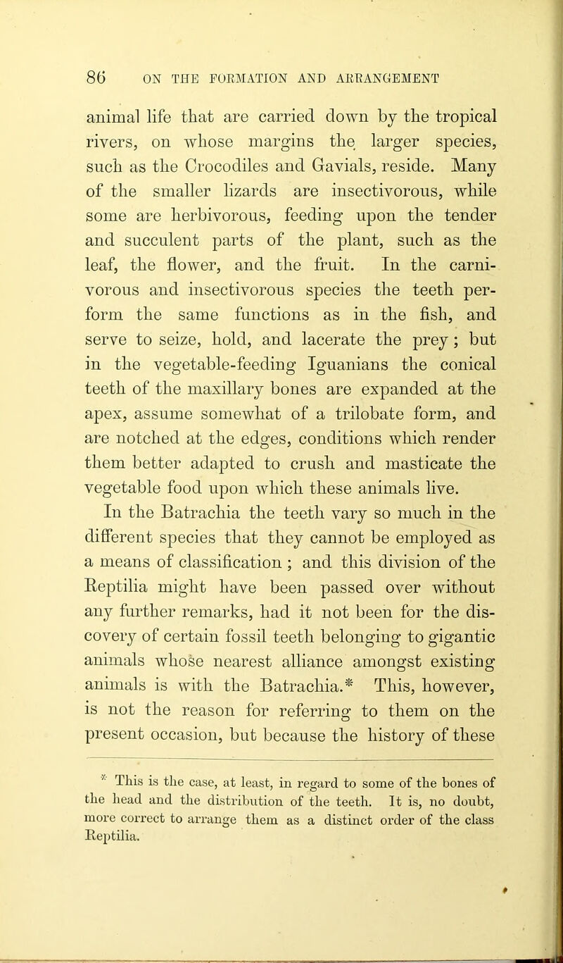 animal life that are carried down by the tropical rivers, on whose margins the larger species, such as the Crocodiles and Gavials, reside. Many of the smaller lizards are insectivorous, while some are herbivorous, feeding upon the tender and succulent parts of the plant, such as the leaf, the flower, and the fruit. In the carni- vorous and insectivorous species the teeth per- form the same functions as in the fish, and serve to seize, hold, and lacerate the prey; but in the vegetable-feeding Iguanians the conical teeth of the maxillary bones are expanded at the apex, assume somewhat of a trilobate form, and are notched at the edges, conditions which render them better adapted to crush and masticate the vegetable food upon which these animals live. In the Batrachia the teeth vary so much in the different species that they cannot be employed as a means of classification ; and this division of the Reptilia might have been passed over without any further remarks, had it not been for the dis- covery of certain fossil teeth belonging to gigantic animals whose nearest alliance amongst existing animals is with the Batrachia.* This, however, is not the reason for referring to them on the present occasion, but because the history of these * This is the case, at least, in regard to some of the bones of the head and the distribution of the teeth. It is, no doubt, more correct to arrange them as a distinct order of the class Reptilia.