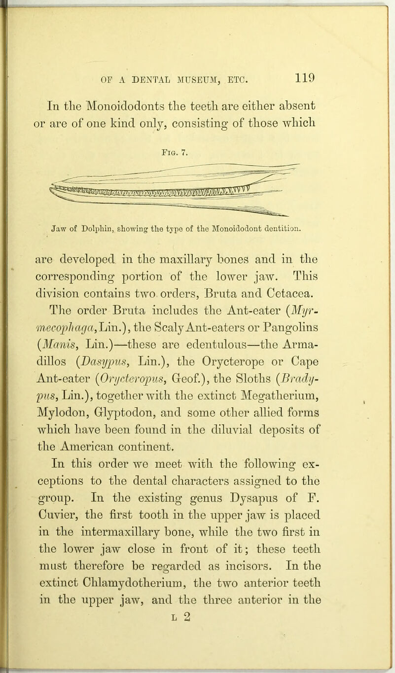 In tlie Monoidodonts the teeth are either absent or are of one kind onlj, consisting of those which Fig. 7. Jaw of Dolphin, showing the typo of the Monoidodont dentition. are developed in the maxillary bones and in the corresponding portion of the lower jaw. This division contains two orders, Bruta and Cetacea. Tlie order Bruta includes the Ant-eater {Myr- mecoiiliarja^JAxi.), the Scaly Ant-eaters or Pangolins (Manis, Lin.)—these are edentulous—the Arma- dillos {Dasypus, Lin.), the Orycterope or Cape Ant-eater {pryderopus, Gleof.), the Sloths {Brady- 'pus, Lin.), together with the extinct Megatherium, Mylodon, Glyptodon, and some other allied forms which have been found in the diluvial deposits of the American continent. In this order we meet with the following ex- ceptions to the dental characters assigned to the group. In the existing genus Dysapus of F. Cuvier, the first tooth in the upper jaw is placed in the intermaxillary bone, while the two first in the lower jaw close in front of it; these teeth must therefore be reo’arded as incisors. In the O extinct Chlamydotherium, the two anterior teeth in the upper jaw, and the three anterior in the L 2