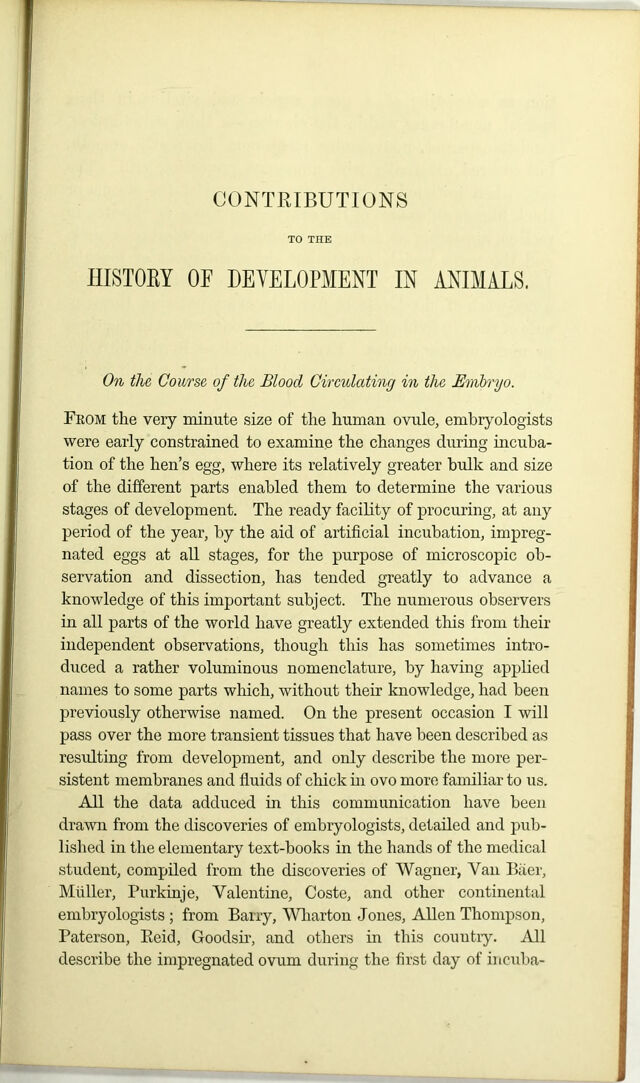 digitised image 3