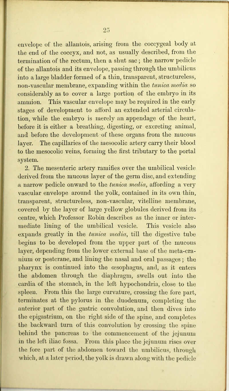 envelope of the allantois, arising from the coccygeal body at the end of the coccyx, and not, as usually described, from the termination of the rectum, then a shut sac ; the narrow pedicle of the allantois and its envelope, passing through the umbilicus into a large bladder formed of a thin, transparent, structureless, non-vascular membrane, expanding within the tunica media so considerably as to cover a large portion of the embryo in its ammion. This vascular envelope may be required in the early stages of development to afford an extended arterial circula- tion, while the embryo is merely an appendage of the heart, before it is either a breathing, digesting, or excreting animal, and before the development of these organs from the mucous layer. The capillaries of the mesocolic artery carry their blood to the mesocolic veins, forming the first tributary to the portal system. 2. The mesenteric artery ramifies over the umbilical vesicle derived from the mucous layer of the germ disc, and extending a narrow pedicle onward to the tunica media, affording a very vascular envelope around the yolk, contained in its own thin, transparent, structureless, non-vascular, vitelline membrane, covered by the layer of large yellow globules derived from its centre, which Professor Eobin describes as the inner or inter- mediate lining of the umbilical vesicle. This vesicle also expands greatly in the tunica media, till the digestive tube begins to be developed from the upper part of the mucous layer, depending from the lower external base of the meta-cra- nium or postcrane, and lining the nasal and oral passages ; the pharynx is continued into the oesophagus, and, as it enters the abdomen through the diaphragm, swells out into the cardia of the stomach, in the left hypochondria, close to the spleen. From this the large curvature, crossing the fore part, terminates at the pylorus in the duodenum, completing the anterior part of the gastric convolution, and then dives into the epigastrium, on the right side of the spine, and completes the backward turn of this convolution by crossing the spine behind the pancreas to the commencement of the jejunum in the left iliac fossa. From this place the jejunum rises over the fore part of the abdomen toward the umbilicus, through which, at a later period, the yolk is drawn along with the pedicle