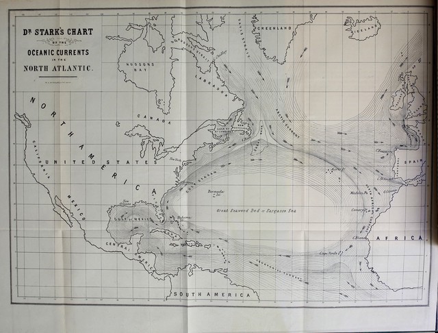 digitised image 3