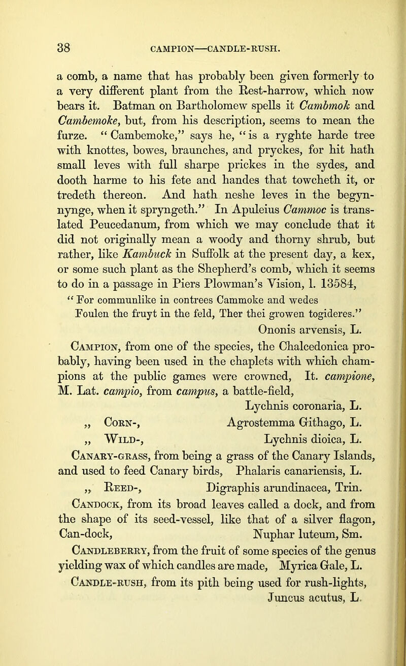 a comb, a name that has probably been given formerly to a very different plant from the Rest-harrow, which now bears it. Batman on Bartholomew spells it Cambmok and Cambemoke, bat, from his description, seems to mean the furze. “ Cambemoke,” says he, “ is a ryghte harde tree with knottes, bowes, braunches, and pryckes, for hit hath small leves with full sharpe prickes in the sydes, and dooth harme to his fete and handes that towcheth it, or tredeth thereon. And hath neshe leves in the begyn- nynge, when it spryngeth.” In Apuleius Cammoc is trans- lated Peucedanum, from which we may conclude that it did not originally mean a woody and thorny shrub, but rather, like Kambuck in Suffolk at the present day, a kex, or some such plant as the Shepherd’s comb, which it seems to do in a passage in Piers Plowman’s Vision, 1. 13584, “ For communlike in contrees Cammoke and wedes Foulen the fruyt in the feld, Ther thei growen togideres.” Ononis arvensis, L. Campion, from one of the species, the Chalcedonica pro- bably, having been used in the chaplets with which cham- pions at the public games were crowned, It. campione, M. Lat. campio, from campus, a battle-field, Lychnis coronaria, L. „ Corn-, Agrostemma Githago, L. „ Wild-, Lychnis dioica, L. Canary-grass, from being a grass of the Canary Islands, and used to feed Canary birds, Phalaris canariensis, L. „ Reed-, Digraphis arundinacea, Trin. Candock, from its broad leaves called a dock, and from the shape of its seed-vessel, like that of a silver flagon, Can-dock, Kuphar luteum, Sm. Candleberry, from the fruit of some species of the genus yielding wax of which candles are made, Myrica Gale, L. Candle-rush, from its pith being used for rush-lights, Juncus acutus, L