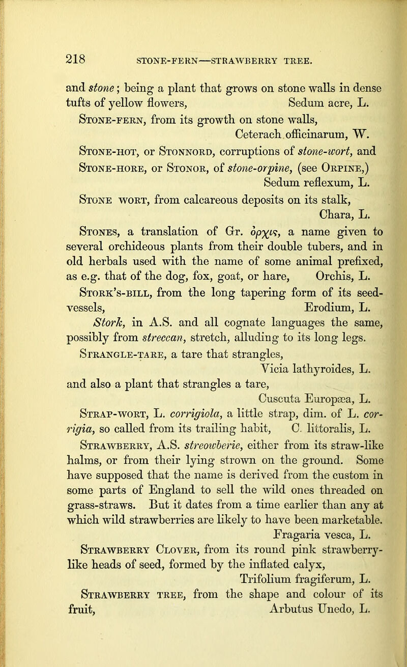 and stone; being a plant that grows on stone walls in dense tufts of yellow flowers, Sedum acre, L. Stone-fern, from its growth on stone walls, Ceterach ofiicinarum, W. Stone-hot, or Stonnord, corruptions of stone-wort, and Stone-hore, or Stonor, of stone-orpine, (see Orpine,) Sedum reflexum, L. Stone wort, from calcareous deposits on its stalk, Chara, L. Stones, a translation of Gr. a name given to several orchideous plants from their double tubers, and in old herbals used with the name of some animal prefixed, as e.g. that of the dog, fox, goat, or hare, Orchis, L. Stork’s-bill, from the long tapering form of its seed- vessels, Erodium, L. Stor/c, in A.S. and all cognate languages the same, possibly from streccan, stretch, alluding to its long legs. Strangle-tare, a tare that strangles, Yicia lathyroides, L. and also a plant that strangles a tare, Cuscuta Europaea, L. Strap-wort, L. corrigiola, a little strap, dim. of L. cor- rigia, so called from its trailing habit, C. littoralis, L. Strawberry, A.S. streoivberie, either from its straw-like halms, or from their lying strown on the ground. Some have supposed that the name is derived from the custom in some parts of England to sell the wild ones threaded on grass-straws. But it dates from a time earlier than any at which wild strawberries are likely to have been marketable. Eragaria vesca, L. Strawberry Clover, from its round pink strawberry- like heads of seed, formed by the inflated calyx, Trifolium fragiferum, L. Strawberry tree, from the shape and colour of its fruit, Arbutus Unedo, L.