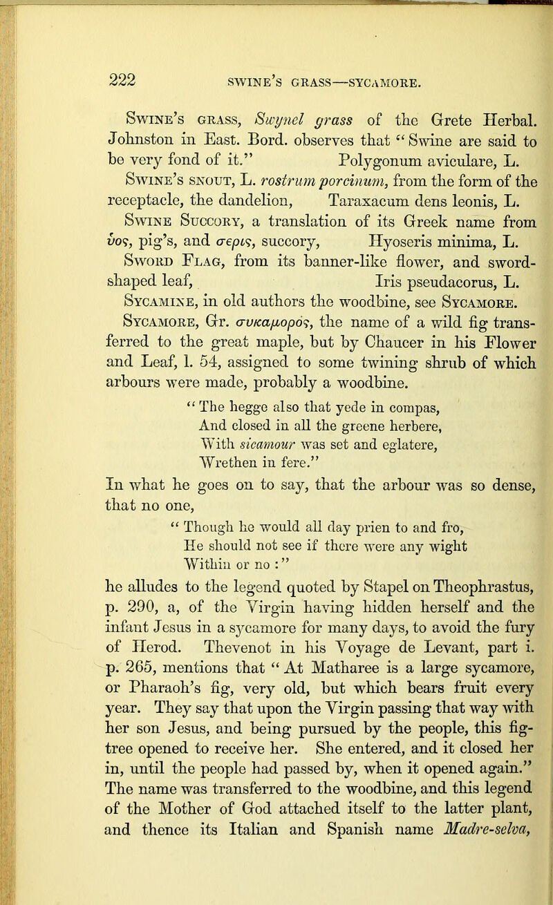Swine’s grass, Swynel grass of the Grete Herbal. Jobnston in East. Bord. observes that “ Swine are said to bo very fond of it.” Polygonum aviculare, L. Swine’s snout, L. rostrum porcinum, from the form of the receptacle, the dandelion, Taraxacum dens leonis, L. Swine Succory, a translation of its Greek name from uo?, pig’s, and crept?, succory, Hyoseris minima, L. Sword Flag, from its banner-like flower, and sword- shaped leaf, Iris pseudacorus, L. Sycamine, in old authors the woodbine, see Sycamore. Sycamore, Gr. cruicagopos, the name of a wild fig trans- ferred to the great maple, but by Chaucer in his Flower and Leaf, 1. 54, assigned to some twining shrub of which arbours were made, probably a woodbine. “ The hegge also that yede in compas, And closed in all the greene herbere, With sicamour was set and eglatere, Wrethen in fere.” In what he goes on to say, that the arbour was so dense, that no one, “ Though he would all day prien to and fro, He should not see if there were any wight Within or no : ” he alludes to the legend quoted by Stapel on Theophrastus, p. 290, a, of the Virgin having hidden herself and the infant Jesus in a sycamore for many days, to avoid the fury of Herod. Thevenot in his Voyage de Levant, part i. p. 265, mentions that “ At Matharee is a large sycamore, or Pharaoh’s fig, very old, but which bears fruit every year. They say that upon the Virgin passing that way with her son Jesus, and being pursued by the people, this fig- tree opened to receive her. She entered, and it closed her in, until the people had passed by, when it opened again.” The name was transferred to the woodbine, and this legend of the Mother of God attached itself to the latter plant, and thence its Italian and Spanish name Madre-selva,