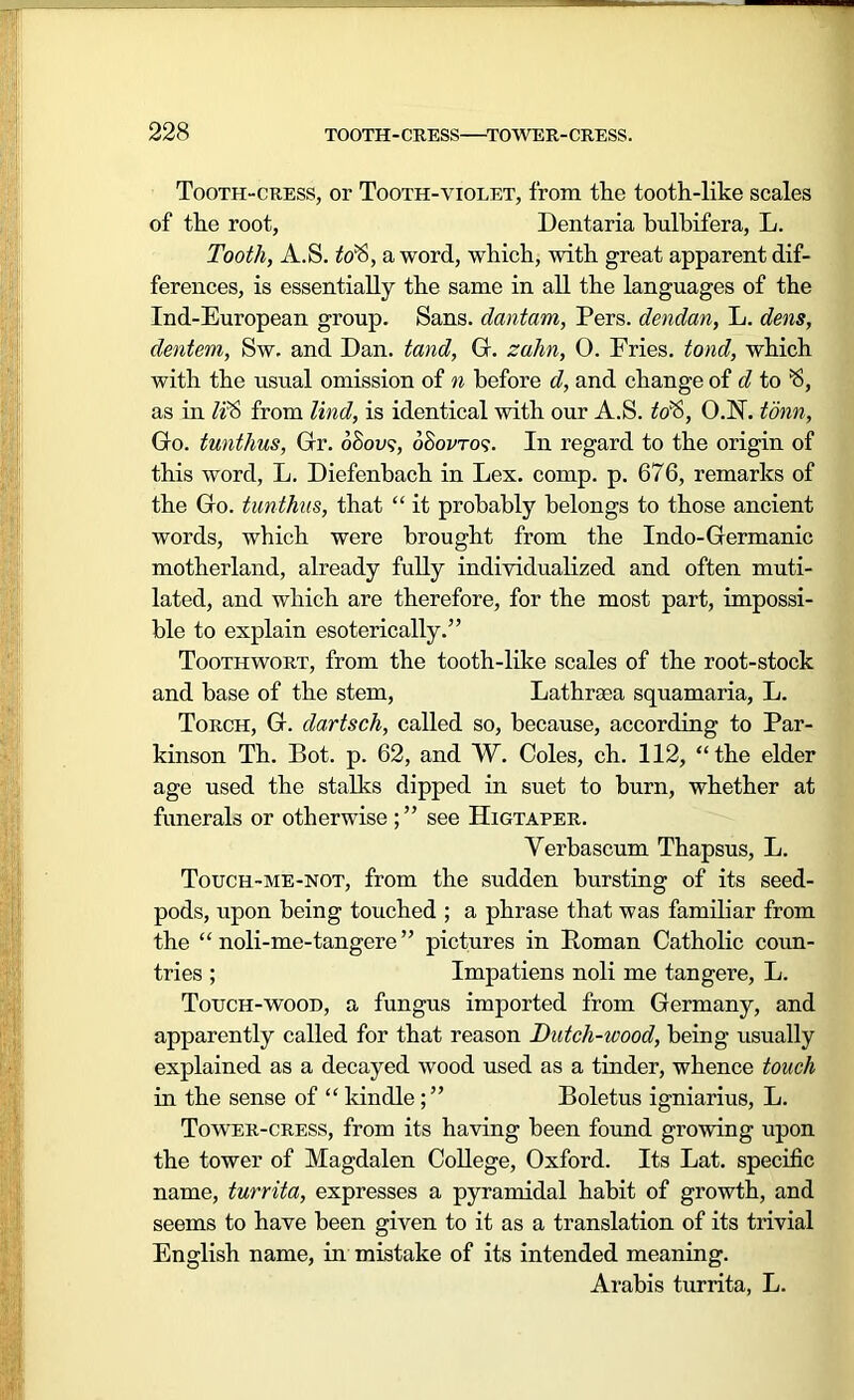 Tooth-cress, or Tooth-violet, from the tooth-like scales of the root, Dentaria hulhifera, L. Tooth, A.S. toa word, which, with great apparent dif- ferences, is essentially the same in all the languages of the Ind-European group. Sans, dantam, Pers. dendan, L. dens, dentem, Sw. and Dan. tand, G. zalin, 0. Fries, tond, which with the usual omission of n before d, and change of d to *6, as in IrS from lind, is identical with our A.S. td£>, O.N. torn, Go. tunthus, Gr. oSou?, oSovtos. In regard to the origin of this word, L. Diefenbach in Lex. comp. p. 676, remarks of the Go. tunthus, that “ it probably belongs to those ancient words, which were brought from the Indo-Germanic motherland, already fully individualized and often muti- lated, and which are therefore, for the most part, impossi- ble to explain esoterically.” Toothwort, from the tooth-like scales of the root-stock and base of the stem, Lathrsea squamaria, L. Torch, G. dartsch, called so, because, according to Par- kinson Th. Bot. p. 62, and W. Coles, ch. 112, “the elder age used the stalks dipped in suet to burn, whether at funerals or otherwise ; ” see Higtaper. Yerbascum Thapsus, L. Touch-me-not, from the sudden bursting of its seed- pods, upon being touched ; a phrase that was familiar from the “ noli-me-tangere ” pictures in Roman Catholic coun- tries ; Impatiens noli me tangere, L. Touch-wood, a fungus imported from Germany, and apparently called for that reason Dutch-ivood, being usually explained as a decayed Avood used as a tinder, whence touch in the sense of “ kindleBoletus igniarius, L. Tower-cress, from its having been found growing upon the tower of Magdalen College, Oxford. Its Lat. specific name, turrita, expresses a pyramidal habit of growth, and seems to have been given to it as a translation of its trivial English name, in mistake of its intended meaning. Arabis turrita, L.