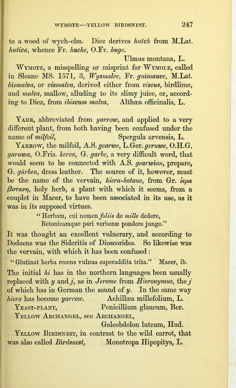 to a wood of wych-elm. Diez derives hutch from M.Lat. hutica, whence Fr. huche, O.Fr. huge. Ulmus montana, L. Wymote, a misspelling or misprint for Wymole, called in Sloane MS. 1571, 3, Wysmalve, Fr. guimauve, M.Lat. bismalva, or vismalva, derived either from viscus, birdlime, and malva, mallow, alluding to its slimy juice, or, accord- ing to Diez, from ibiscum malva, Althaea officinalis, L. Yarr, abbreviated from yarrow, and applied to a very differeiit plant, from both having been confused under the name of milfoil, Spergula arvensis, L. Yarrow, the milfoil, A.S. gearwe, L.Ger. geruwe, O.H.G. garawa, O.Fris. herva, G. garbe, a very difficult word, that would seem to be connected with A.S. gearwian, prepare, G. gixrben, dress leather. The source of it, however, must be the name of the vervain, hiera-botane, from Gr. lepa fioravg, holy herb, a plant with which it seems, from a couplet in Macer, to have been associated in its use, as it was in its supposed virtues. “ Herbam, cui nomen. foliis de mille dedere, Betonicamque pari verbenae pondere junge.” It was thought an excellent vulnerary, and according to Dodoens was the Sideritis of Dioscorides. So likewise was the vervain, with which it has been confused : “ Glutinat herba recens vulnus superaddita trita.” Macer, ib. The initial hi has in the northern languages been usually replaced with y and j, as in Jerome from Hieronymus, they of which has in German the sound of y. In the same way hiera has become yarroio. Achilkea millefolium, L. Yeast-plant, Penicillium glaucum, Ber. Yellow Archangel, see Archangel, Galeobdolon luteum, Hud. Yellow Birdsnest, in contrast to the wild carrot, that was also called Birdsnest, Monotropa Hipopitys, L.