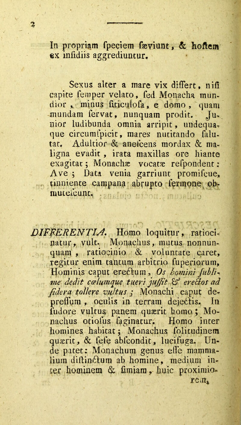 ex infidiis aggrediuntur. Sexus alter a mare vix differt, ni fi capite femper velato, fed Monacha mun- dior * minus ftticulofa, e domo, quam -mundam fervat, nunquam prodit. Ju- nior ludibunda omnia arripit, undequa- que cireumfpicit, mares nutitando falu- tat. Adultior & anelcens mordax & ma- ligna evadit , irata maxillas ore hiante exagitat; Monachae vocatae refpondent: Ave ; Data venia garriunt promifeue, tinniente campana abrupto fermone ob- muteicunt. DIFFERENTIA. Homo loquitur, ratioci- natur, vult. Monachus, mutus nonnun- quam , ratiocinio & voluntate caret, regitur enim tantum arbitrio fuperiorum. Hominis caput eredlum. Os homini fubli- me dedit cepiumque tueri jujjit & er e Et os ad /idera tollere vultus ; Monachi caput de- preffum , oculis in terram dejedlis. In fudore vultus panem quasrit homo; Mo- nachus otiolus faginatur. Homo inter homines habitat j Monachus folitudinem quaerit, & fele abfeondit, lucifuga. Un- de patet: Monachum genus effe mamma- lium diftin&um ab homine, medium in- ter hominem & fimiam, huic proximio* rem*