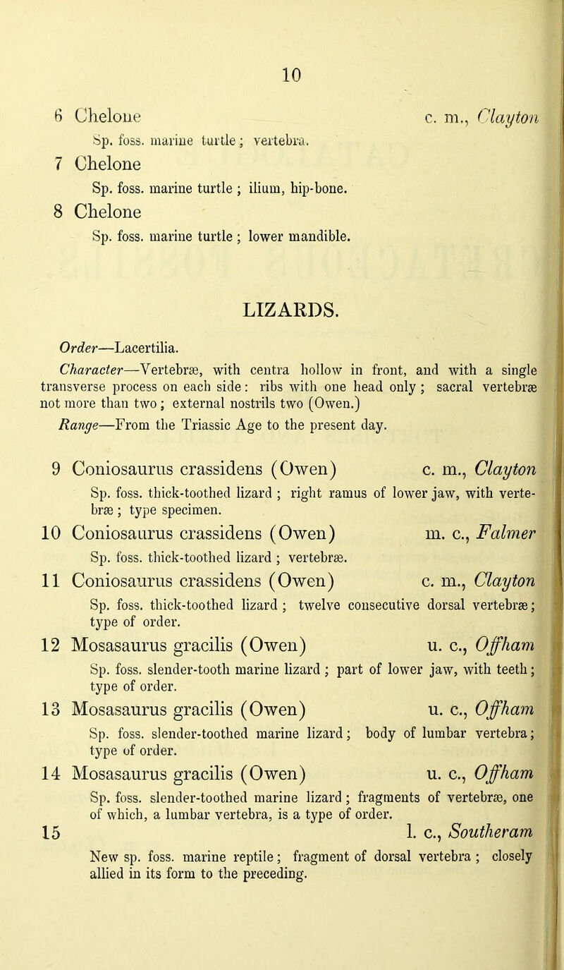 6 Cheloue c. m., Clayton Sp. foss. marine turtle ; vertebra. 7 Ohelone Sp. foss. marine turtle ; ilium, hip-bone. 8 Chelone Sp. foss. marine turtle ; lower mandible. LIZARDS. Order—Lacertilia. Character—Vertebra, with centra hollow in front, and with a single transverse process on each side: ribs with one head only ; sacral vertebrae not more than two ; external nostrils two (Owen.) Range—From the Triassic Age to the present day. 9 Coniosaurus crassidens (Owen) c. m., Clayton Sp. foss. thick-toothed lizard ; right ramus of lower jaw, with verte- brae ; type specimen. 10 Coniosaurus crassidens (Owen) m. c., Faimer Sp. foss. thick-toothed lizard ; vertebrae. 11 Coniosaurus crassidens (Owen) c. m., Clayton Sp. foss. thick-toothed lizard ; twelve consecutive dorsal vertebrae; type of order. 12 Mosasaurus gracilis (Owen) u. c., Off ham Sp. foss. slender-tooth marine lizard ; part of lower jaw, with teeth; type of order. 13 Mosasaurus gracilis (Owen) u. c., Offham Sp. foss. slender-toothed marine lizard; body of lumbar vertebra; type of order. 14 Mosasaurus gracilis (Owen) u. c., Offham Sp. foss. slender-toothed marine lizard; fragments of vertebrae, one of which, a lumbar vertebra, is a type of order. 15 1. c., Souther am New sp. foss. marine reptile; fragment of dorsal vertebra ; closely allied in its form to the preceding.