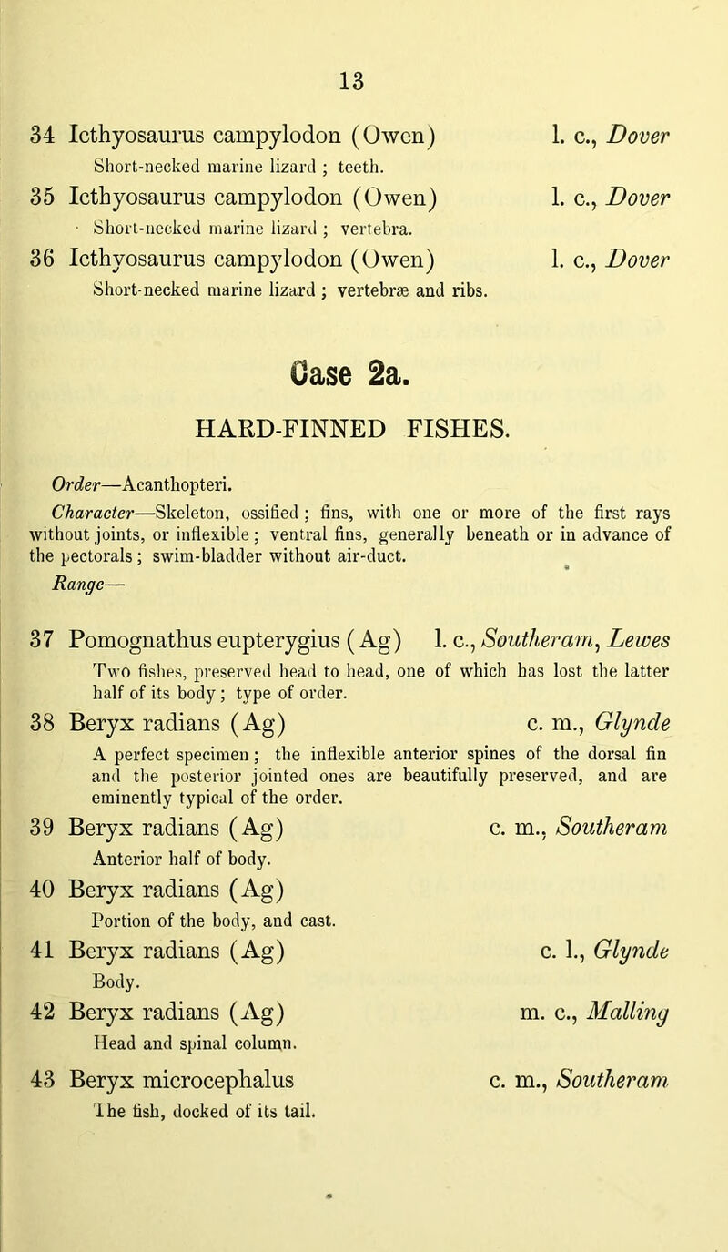 34 Icthyosaurus campylodon (Owen) 1. c., Dover 1. c., Dover Short-necked marine lizard ; teeth. 35 Icthyosaurus campylodon (Owen) 1. c., Dover Short-necked marine lizard ; vertebra. 36 Icthyosaurus campylodon (Owen) 1. c., Dover Short-necked marine lizard ; vertebrte and ribs. Case 2a. HARD-FINNED FISHES. Order—Acanthopteri. Character—Skeleton, ossified ; fins, with one or more of the first rays without joints, or indexible ; ventral fins, generally beneath or in advance of the pectorals ; swim-bladder without air-duct. Range— 37 Pomognathus eupterygius (Ag) 1. c., Southeram, Lewes Two fishes, preserved head to head, one of which has lost the latter half of its body; type of order. 38 Beryx radians (Ag) c. m., Glynde A perfect specimen; the indexible anterior spines of the dorsal fin and the posterior jointed ones are beautifully preserved, and are eminently typical of the order. 39 Beryx radians (Ag) c. m., Southeram Anterior half of body. 40 Beryx radians (Ag) Portion of the body, and cast. 41 Beryx radians (Ag) Body. 42 Beryx radians (Ag) Head and spinal column. 43 Beryx microcephalus I he fish, docked of its tail. c. m., Southeram.