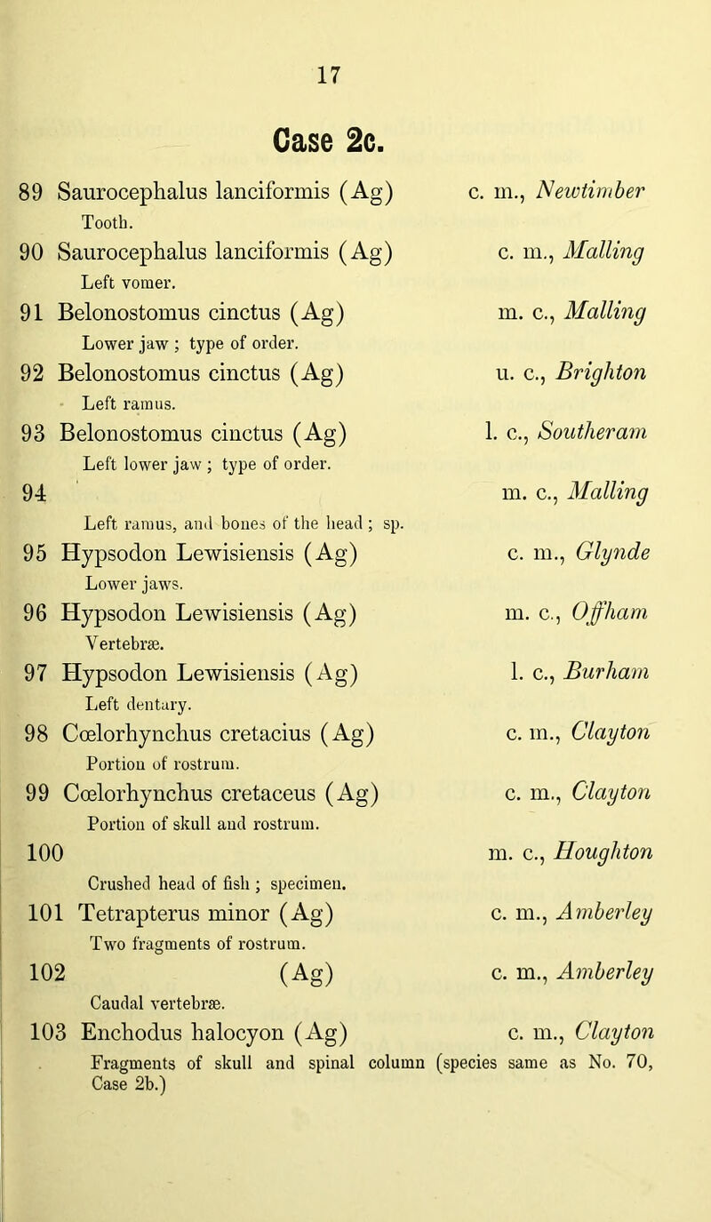 Case 2c. 89 Saurocephalus lanciformis (Ag) Tooth. 90 Saurocephalus lanciformis (Ag) Left vomer. 91 Belonostomus cinctus (Ag) Lower jaw ; type of order. 92 Belonostomus cinctus (Ag) Left ramus. 93 Belonostomus cinctus (Ag) Left lower jaw ; type of order. 94 Left ramus, and bones of the head ; sp. 95 Hypsodon Lewisiensis (Ag) Lower jaws. 96 Hypsodon Lewisiensis (Ag) Vertebrae. c. in., Newtimber c. m., Mailing m. c., Mailing u. c., Brighton 1. c., Souther am m. c., Mailing c. m., Glynde m. c., Off ham 97 Hypsodon Lewisiensis (Ag) Left dentary. 98 Coelorhynchus cretacius (Ag) Portion of rostrum. 99 Coelorhynchus cretaceus (Ag) Portion of skull aud rostrum. 100 Crushed head of fish ; specimen. 101 Tetrapterus minor (Ag) Two fragments of rostrum. 102 (Ag) Caudal vertebra. 1. c., Bur ham c. in., Clayton c. m., Clayton m. c., Houghton c. m., Amberley c. in., Amberley 103 Enchodus lialocyon (Ag) c. m., Clayton Fragments of skull and spinal column (species same as No. 70, Case 2b.)