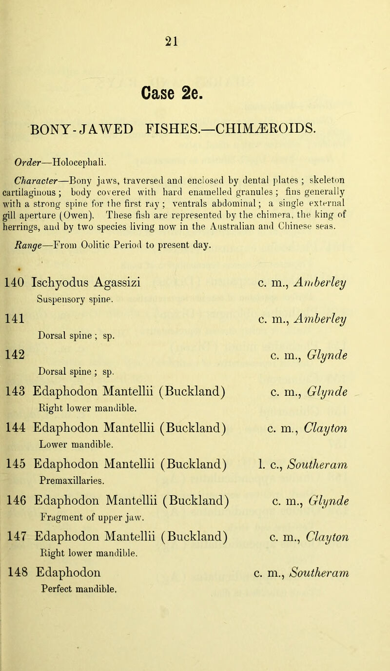 Case 2e. BONY - J AWED FISHES.—CHIMiEROIDS. Order—Holocepliali. Character—Bony jaws, traversed and enclosed by dental plates ; skeleton cartilaginous ; body covered with hard enamelled granules ; fins generally with a strong spine for the first ray ; ventrals abdominal; a single external gill aperture (Owen). These fish are represented by the chimera, the king of herrings, and by two species living now in the Australian and Chinese seas. Range—From Oolitic Period to present day. 140 Ischyodus Agassizi Suspensory spine. c. m., Amberley 141 Dorsal spine ; sp. c. m., Amberley 142 Dorsal spine ; sp. c. in., Glynde 143 Edaphodon Mantellii (Buckland) Right lower mandible. c. m., Glynde 144 Edaphodon Mantellii (Buckland) Lower mandible. c. m., Clayton 145 Edaphodon Mantellii (Buckland) Premaxillaries. 1. c., Souther am 146 Edaphodon Mantellii (Buckland) Fragment of upper jaw. c. m., Glynde 147 Edaphodon Mantellii (Buckland) Right lower mandible. c. m., Clayton 148 Edaphodon Perfect mandible. c. m., Souther am
