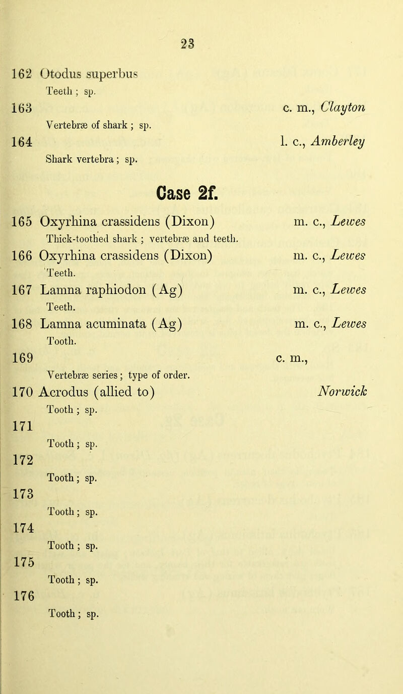 162 Otodus super bus Teeth ; sp. 163 Vertebra of shark ; sp. 164 Shark vertebra; sp. Case 2f. 165 Oxyrhina crassidens (Dixon) Thick-toothed shark ; vertebrae and teeth. 166 Oxyrhina crassidens (Dixon) Teeth. 167 Lamna raphiodon (Ag) Teeth. 168 Lamna acuminata (Ag) Tooth. 169 Vertebra series; type of order. 170 Acrodus (allied to) Tooth ; sp. 171 Tooth; sp. 172 Tooth; sp. 173 Tooth; sp. 174 Tooth ; sp. 175 Tooth ; sp. 176 c. in., Clayton 1. c., Amberley m. c., Lewes m. c., Lewes m. c., Lewes m. c., Lewes c. m., Norwich Tooth; sp.