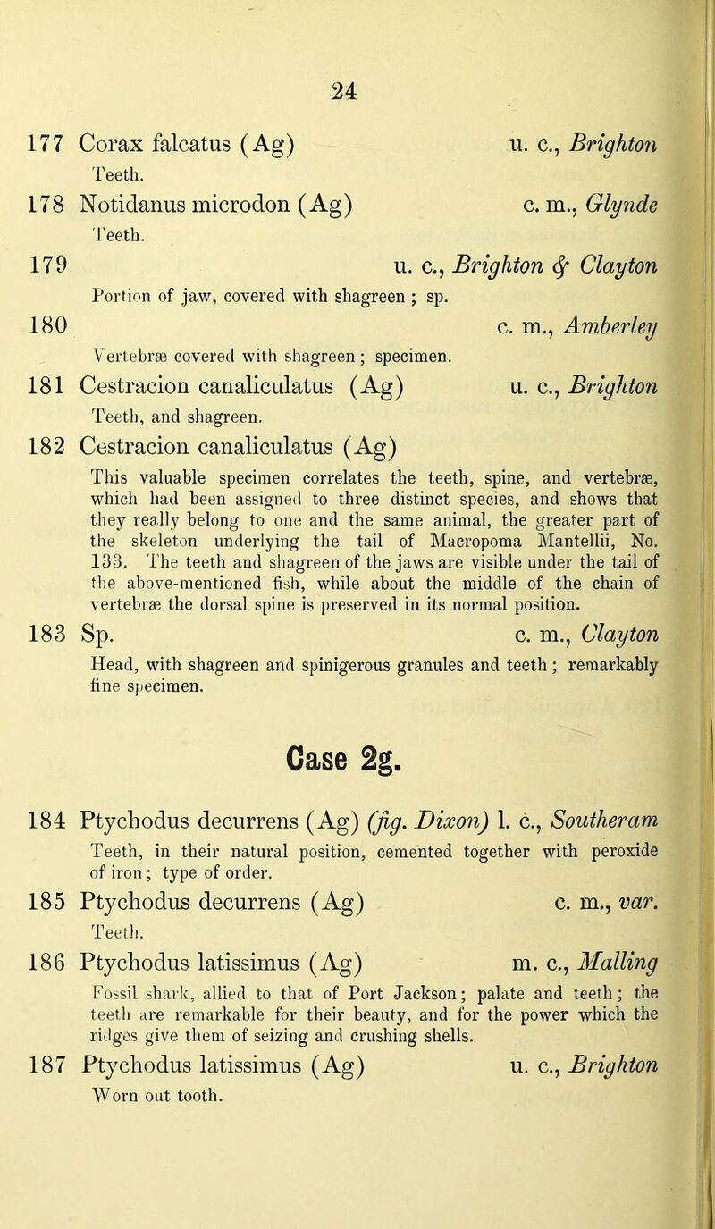 177 Corax falcatus (Ag) u. c., Brighton Teeth. 178 Notidanus microdon (Ag) c. m., Glynde Teeth. 179 U. C., Brighton § Clayton Portion of jaw, covered with shagreen ; sp. 180 Vertebra covered with shagreen ; specimen c. m., Amherley 181 Cestracion canaliculatus (Ag) u. c., Brighton Teeth, and shagreen. 182 Cestracion canaliculatus (Ag) This valuable specimen correlates the teeth, spine, and vertebrae, which had been assigned to three distinct species, and shows that they really belong to one and the same animal, the greater part of the skeleton underlying the tail of Macropoma Mantellii, No. 133. The teeth and shagreen of the jaws are visible under the tail of the above-mentioned fish, while about the middle of the chain of vertebra the dorsal spine is preserved in its normal position. 183 Sp. c. m., Clayton Head, with shagreen and spinigerous granules and teeth ; remarkably fine specimen. Case 2g. 184 Ptychodus decurrens (Ag) (jig. Dixon) 1. c., Souther am Teeth, in their natural position, cemented together with peroxide of iron ; type of order. 185 Ptychodus decurrens (Ag) c. m., var. Teeth. 186 Ptychodus latissimus (Ag) m. c., Mailing Fossil shark, allied to that of Port Jackson; palate and teeth; the teeth are remarkable for their beauty, and for the power which the ridges give them of seizing and crushing shells. 187 Ptychodus latissimus (Ag) Worn out tooth. u. c., Brighton