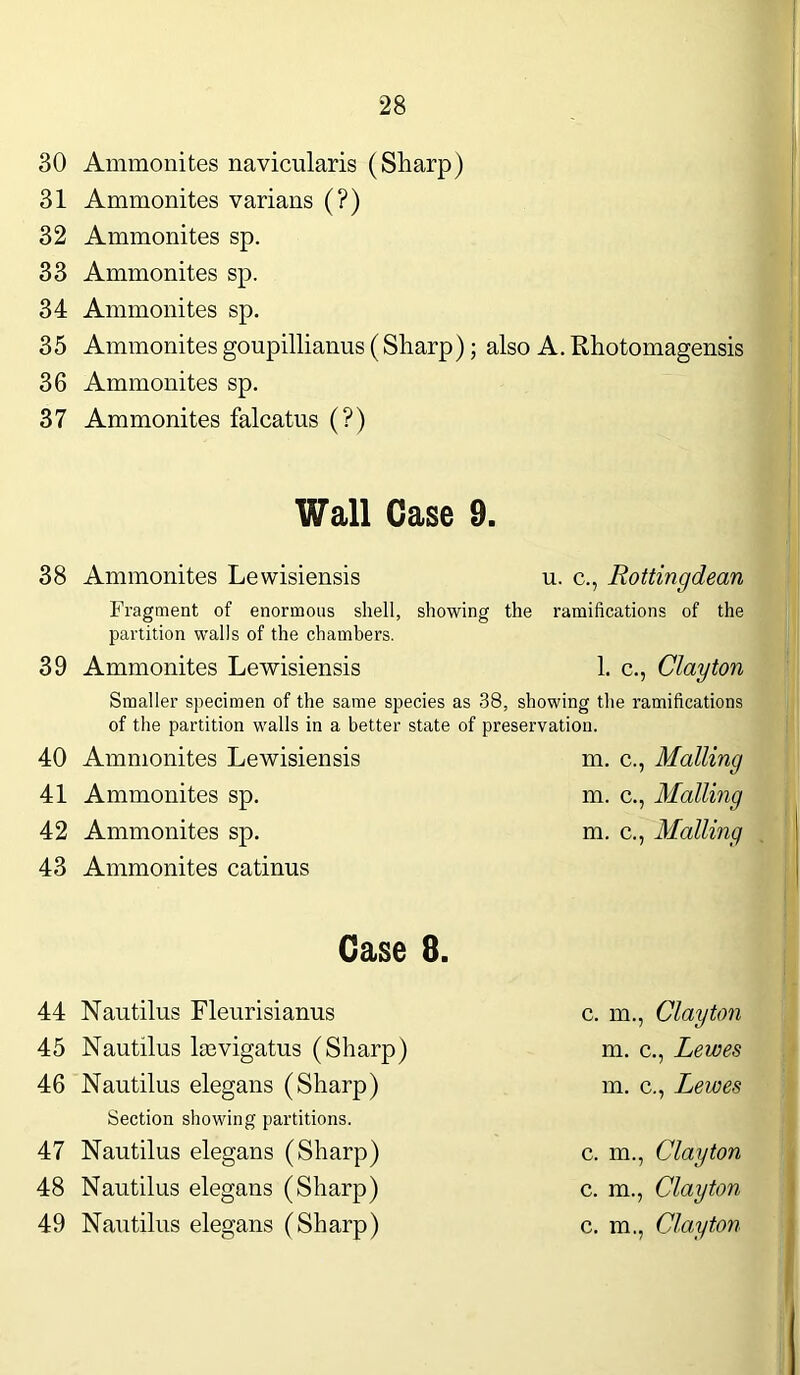 30 Ammonites navicularis (Sharp) 31 Ammonites varians (?) 32 Ammonites sp. 33 Ammonites sp. 34 Ammonites sp. 35 Ammonites goupillianus (Sharp); also A. Rhotomagensis 36 Ammonites sp. 37 Ammonites falcatus (?) Wall Case 9. 38 Ammonites Lewisiensis u. c., Rottingdean Fragment of enormous shell, showing the ramifications of the partition walls of the chambers. 39 Ammonites Lewisiensis 1. c., Clayton Smaller specimen of the same species as 38, showing the ramifications of the partition walls in a better state of preservation. 40 Ammonites Lewisiensis 41 Ammonites sp. 42 Ammonites sp. 43 Ammonites catinus m. c., Mailing m. c., Mailing m. c., Mailing Case 8. 44 Nautilus Fleurisianus 45 Nautilus ltevigatus (Sharp) 46 Nautilus elegans (Sharp) Section showing partitions. 47 Nautilus elegans (Sharp) 48 Nautilus elegans (Sharp) c. m., Clayton m. c., Lewes m. c., Lewes c. m., Clayton c. m., Clayton